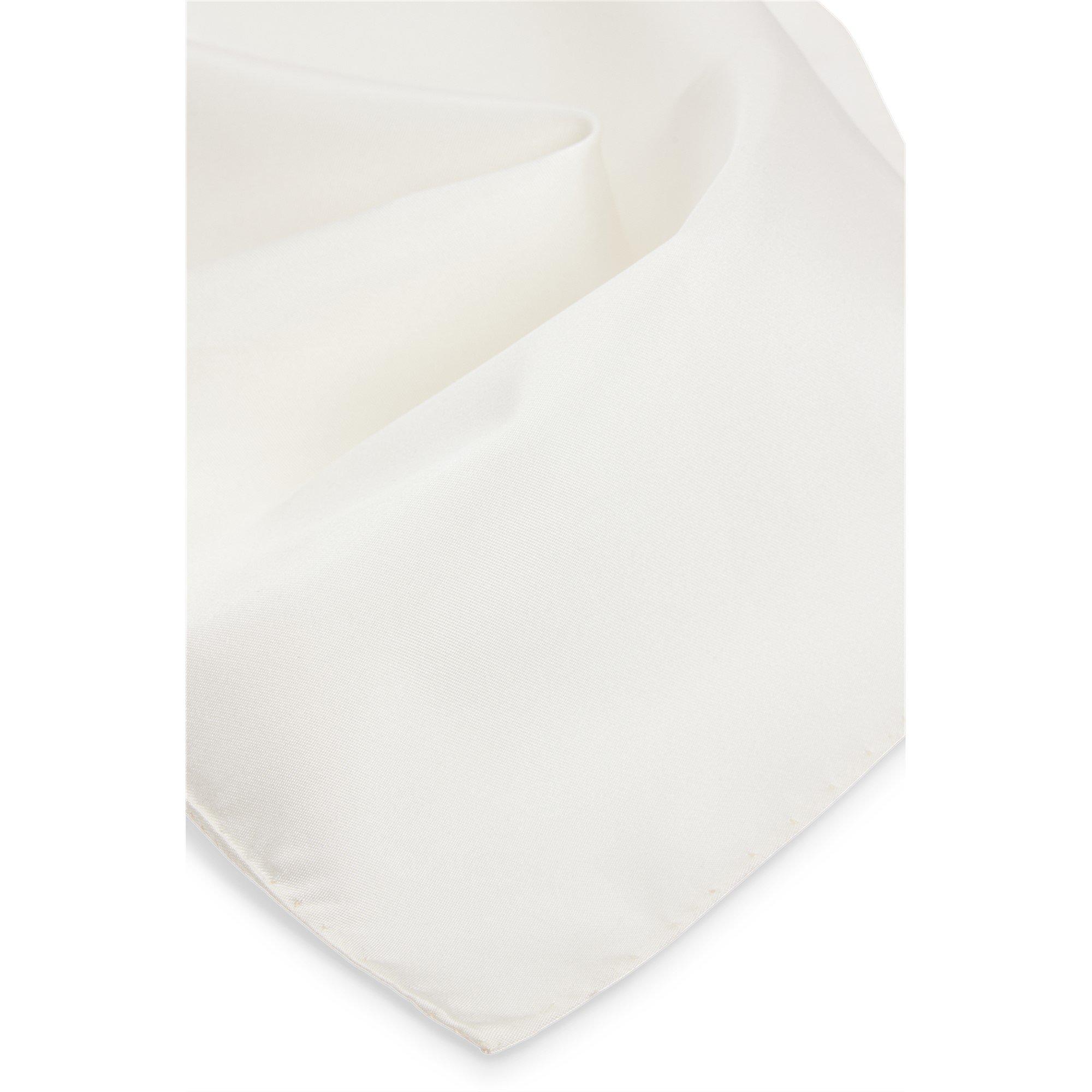 Natural 001 - Boss - Men's H-Pocket Square, Accessories - 2