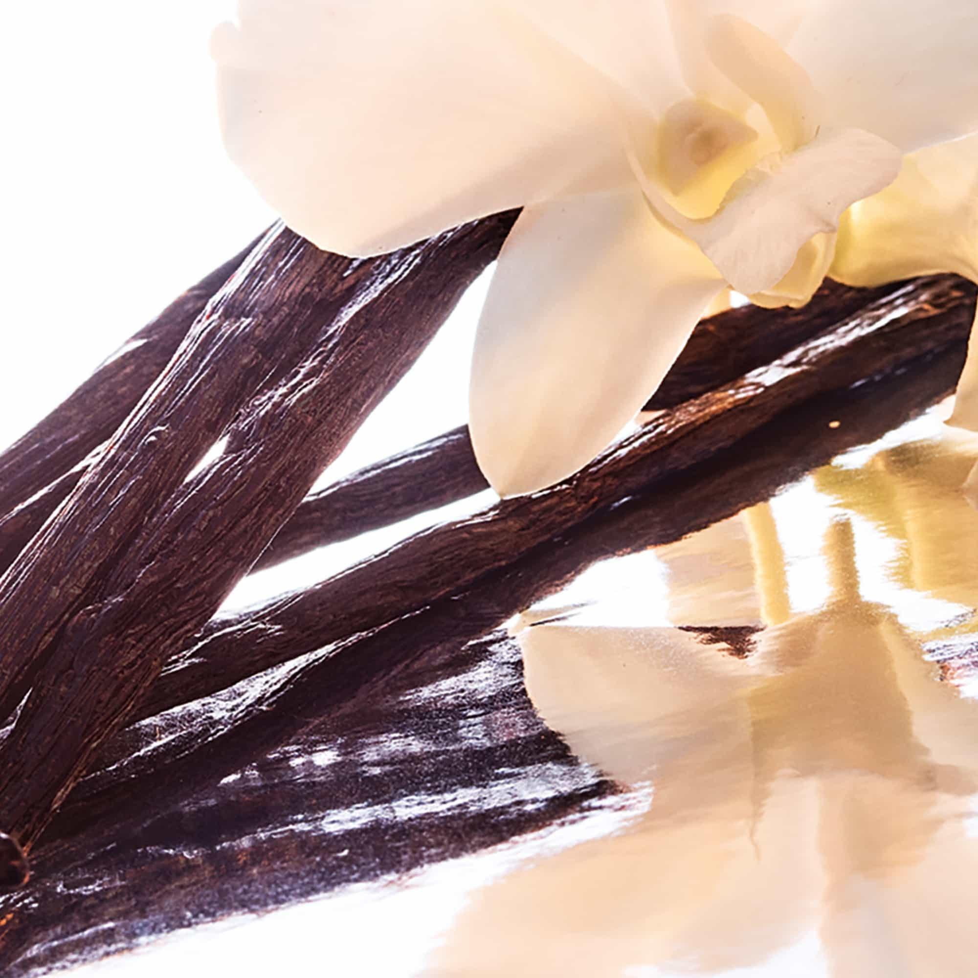 Intense - Guerlain - Mon Guerlain Eau de Parfum Intense - 2