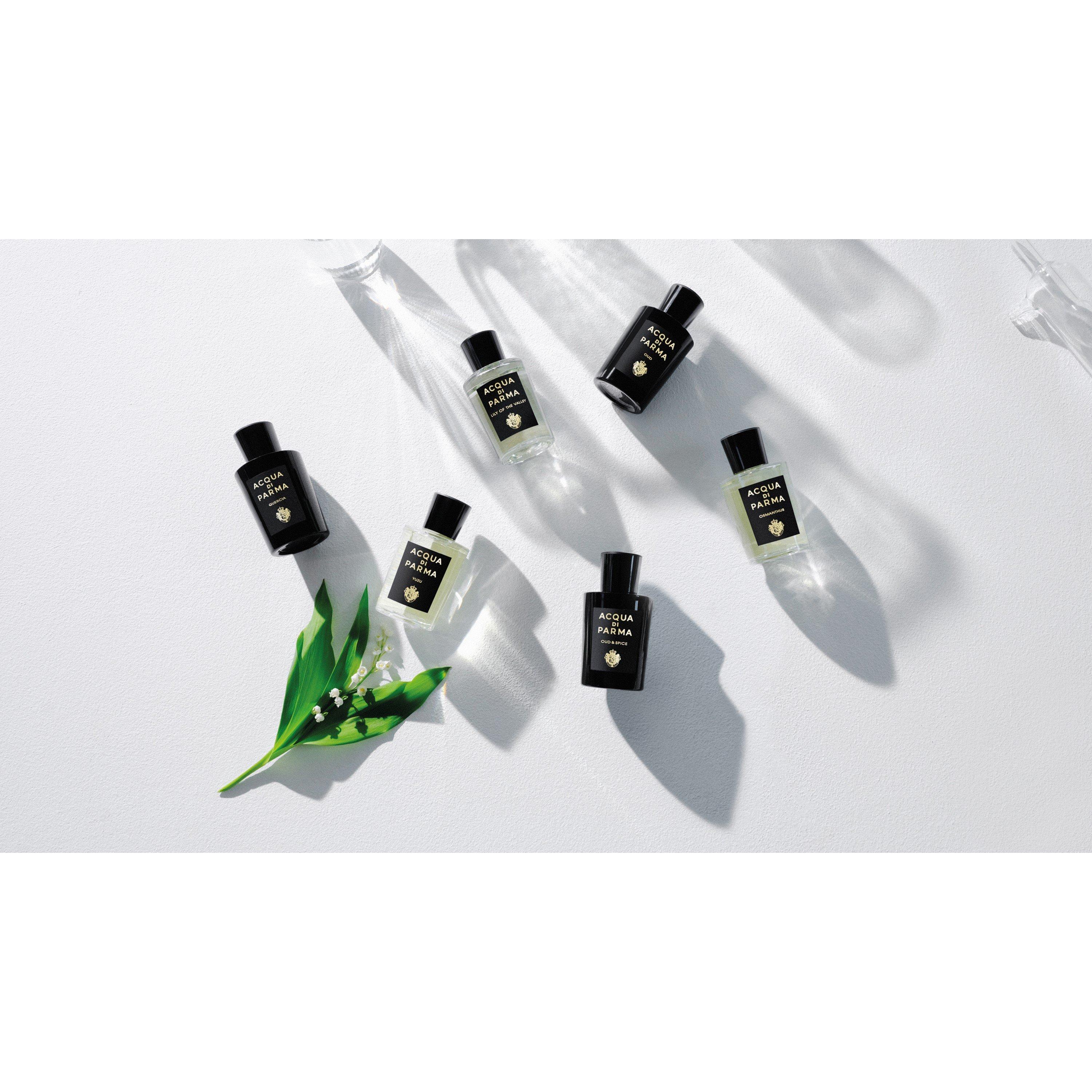 Mist - Acqua Di Parma - Signatures of the Sun Lily of the Valley Eau de Parfum - 5