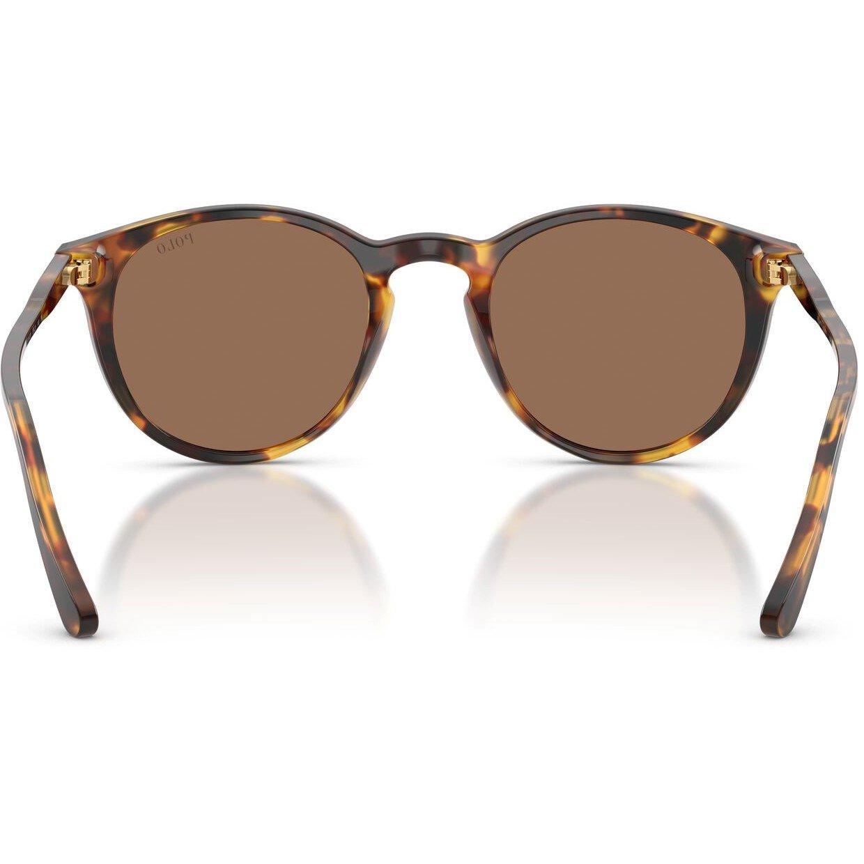 Havana - Polo Ralph Lauren - Shiny Semi Trasp Grey 0ph4110 Phantom Sunglasses - 3