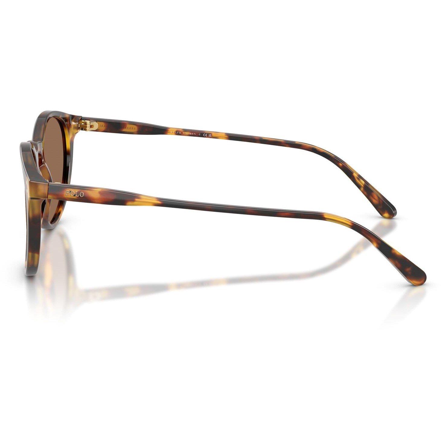 Havana - Polo Ralph Lauren - Shiny Semi Trasp Grey 0ph4110 Phantom Sunglasses - 6