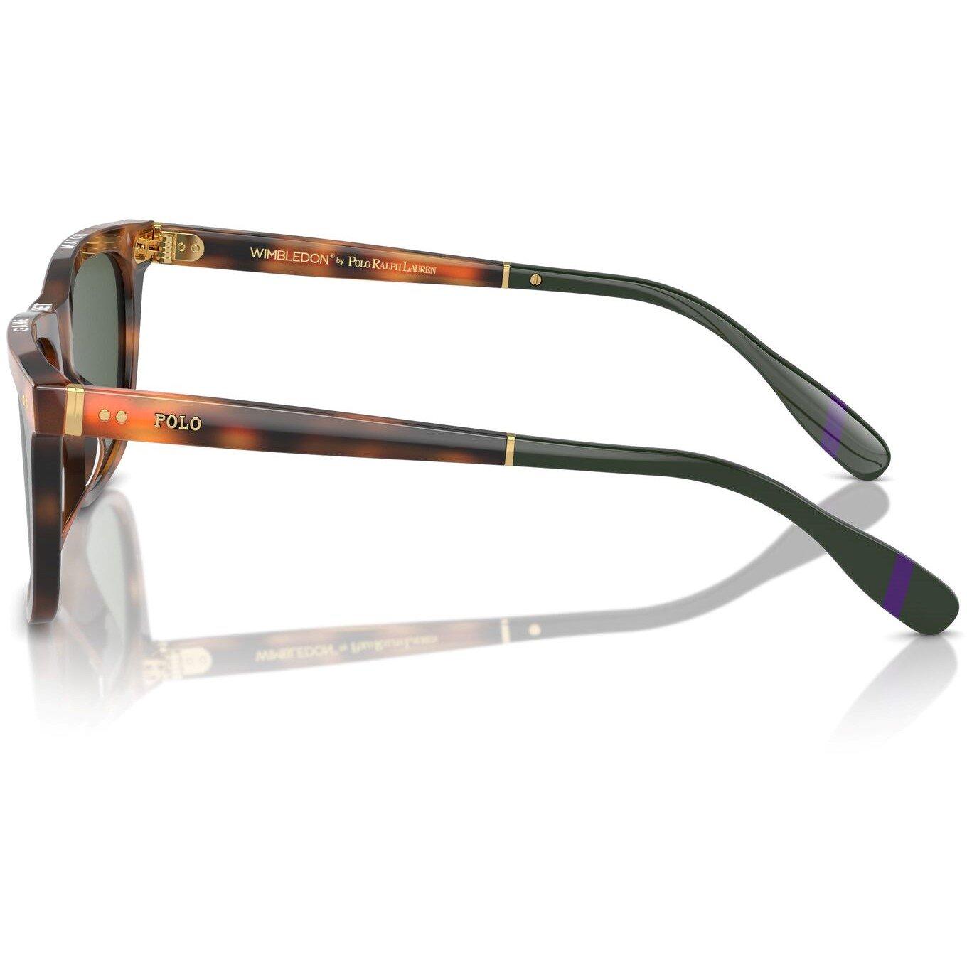 Havana - Polo Ralph Lauren - Pol Sun 0PH4205U Sn63 - 8