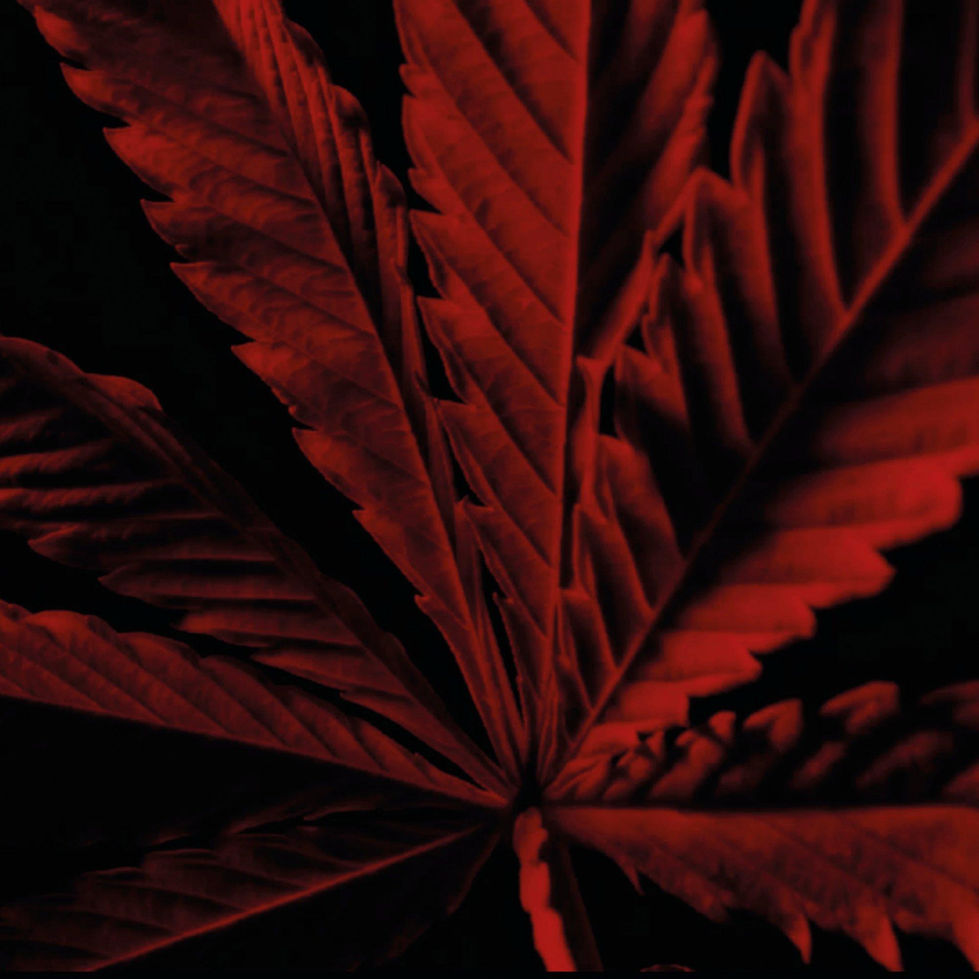 Clear - Guerlain - Habit Rouge Eau de Toilette Intense - 3