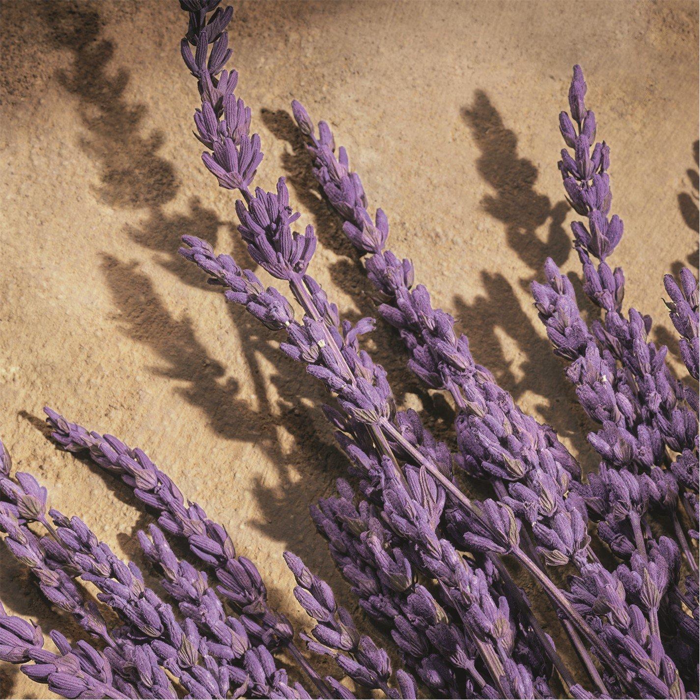 Clear - Dolce and Gabbana - Dolce&Gabbana Devotion For Men Parfum 100 ml - 3