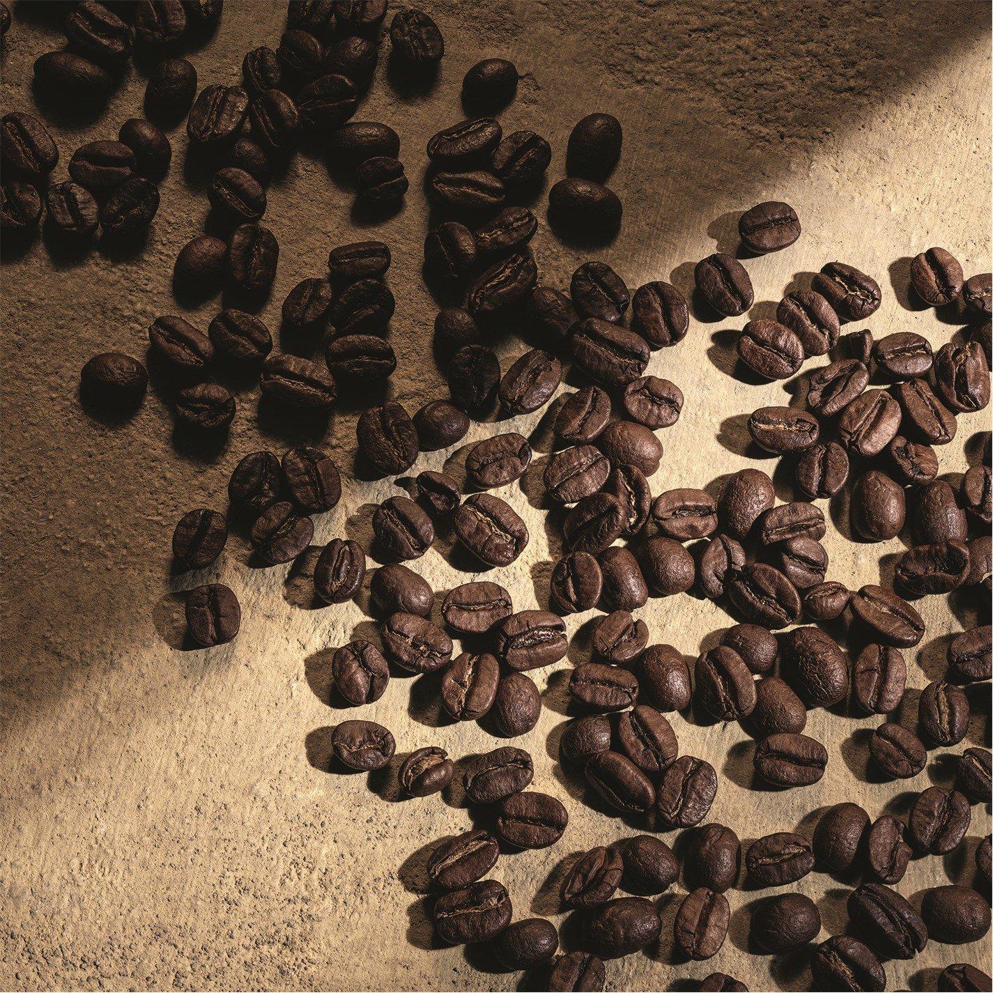 Clear - Dolce and Gabbana - Dolce&Gabbana Devotion For Men Parfum 100 ml - 4