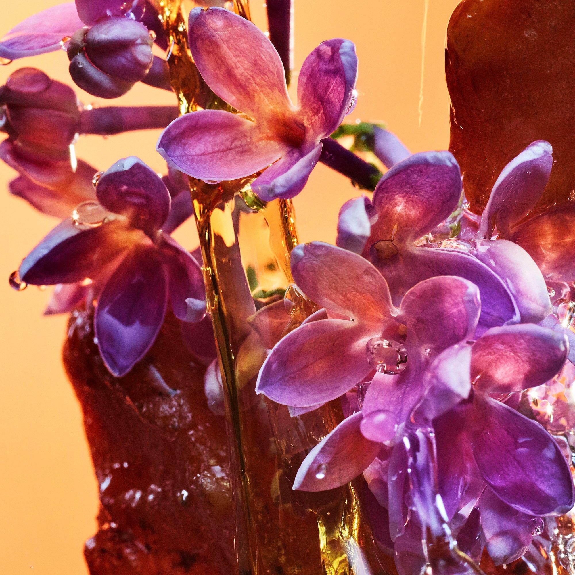 Clear - Bvlgari - Bvlgari Allegra RocknRome Eau de Parfum - 2