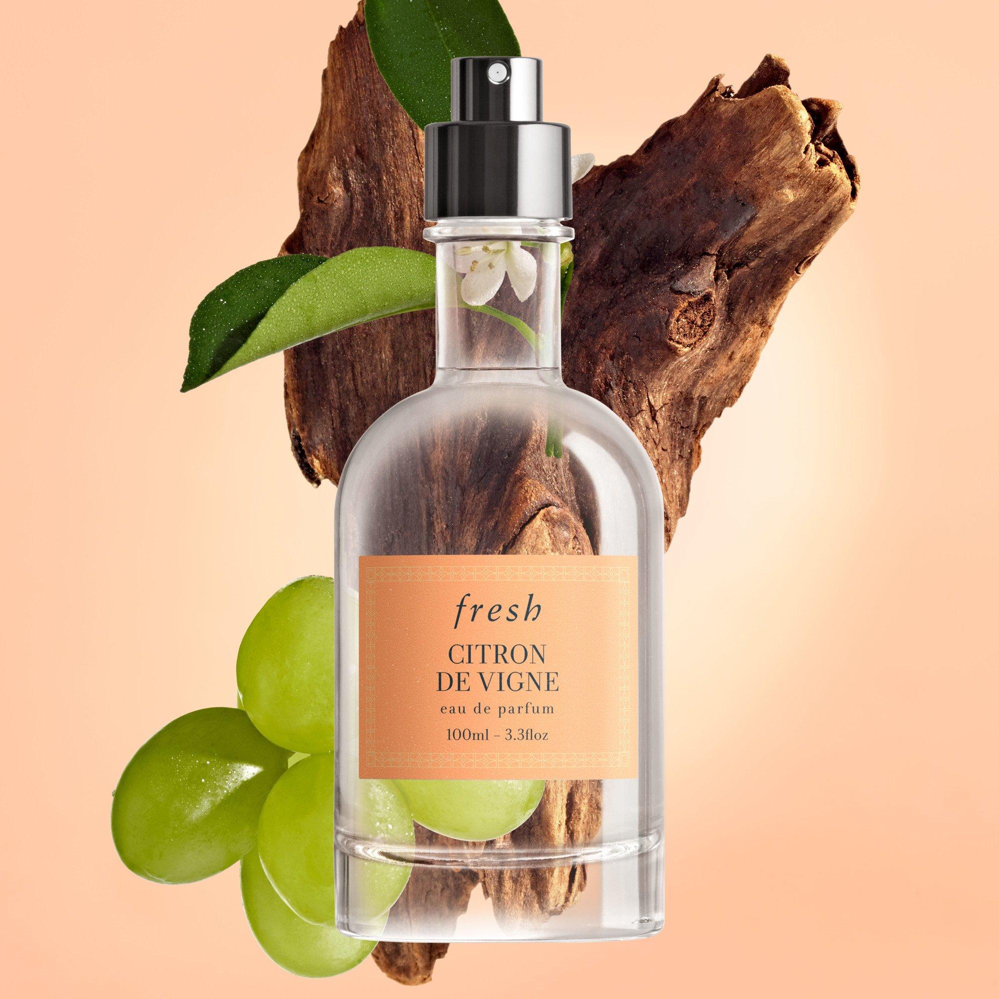 Clear - FRESH - Fresh Citron de Vigne Eau de Parfum - 6