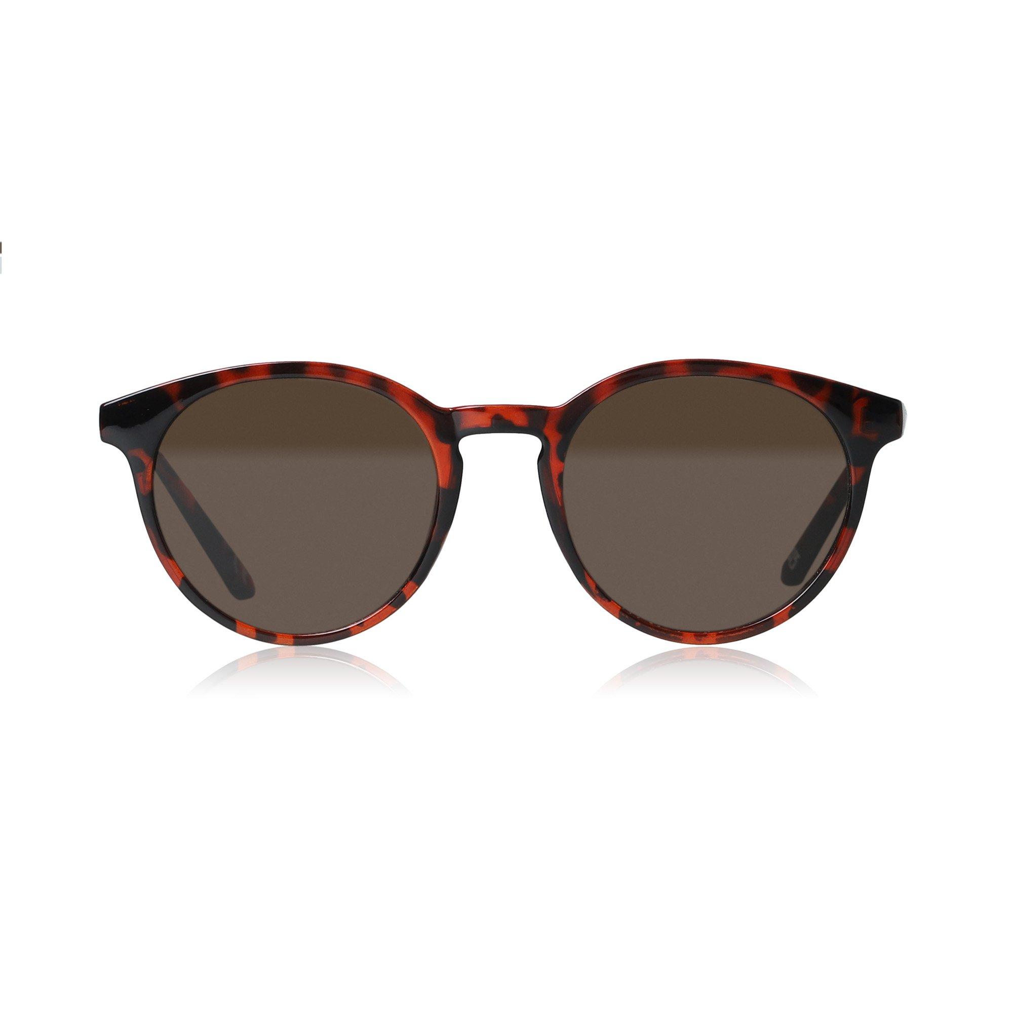 Brown Preppy - Firetrap - Women's Oversized Sunglasses - 1