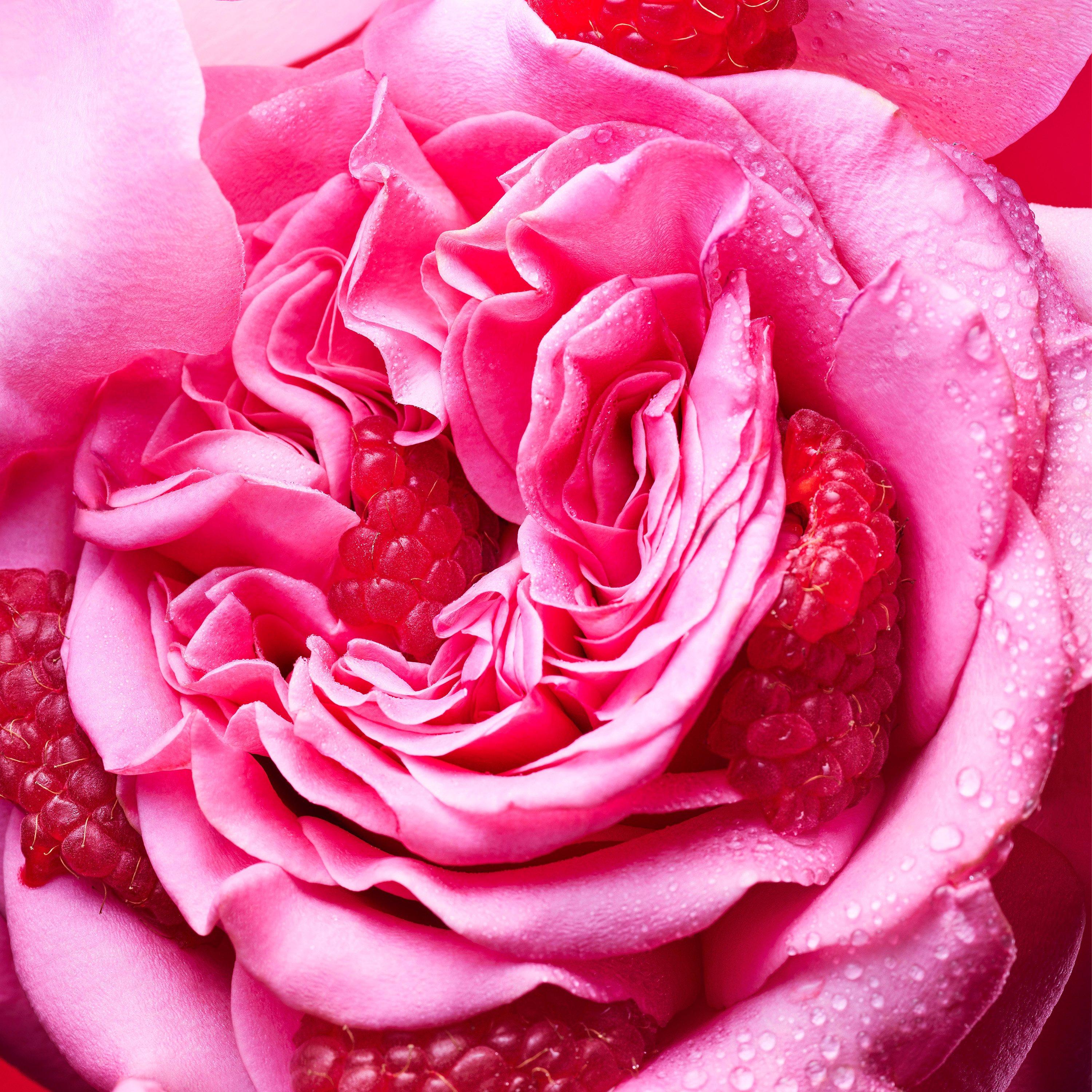 Clear - Bvlgari - Allegra Fiori D'Amore Eau de Parfum - 4