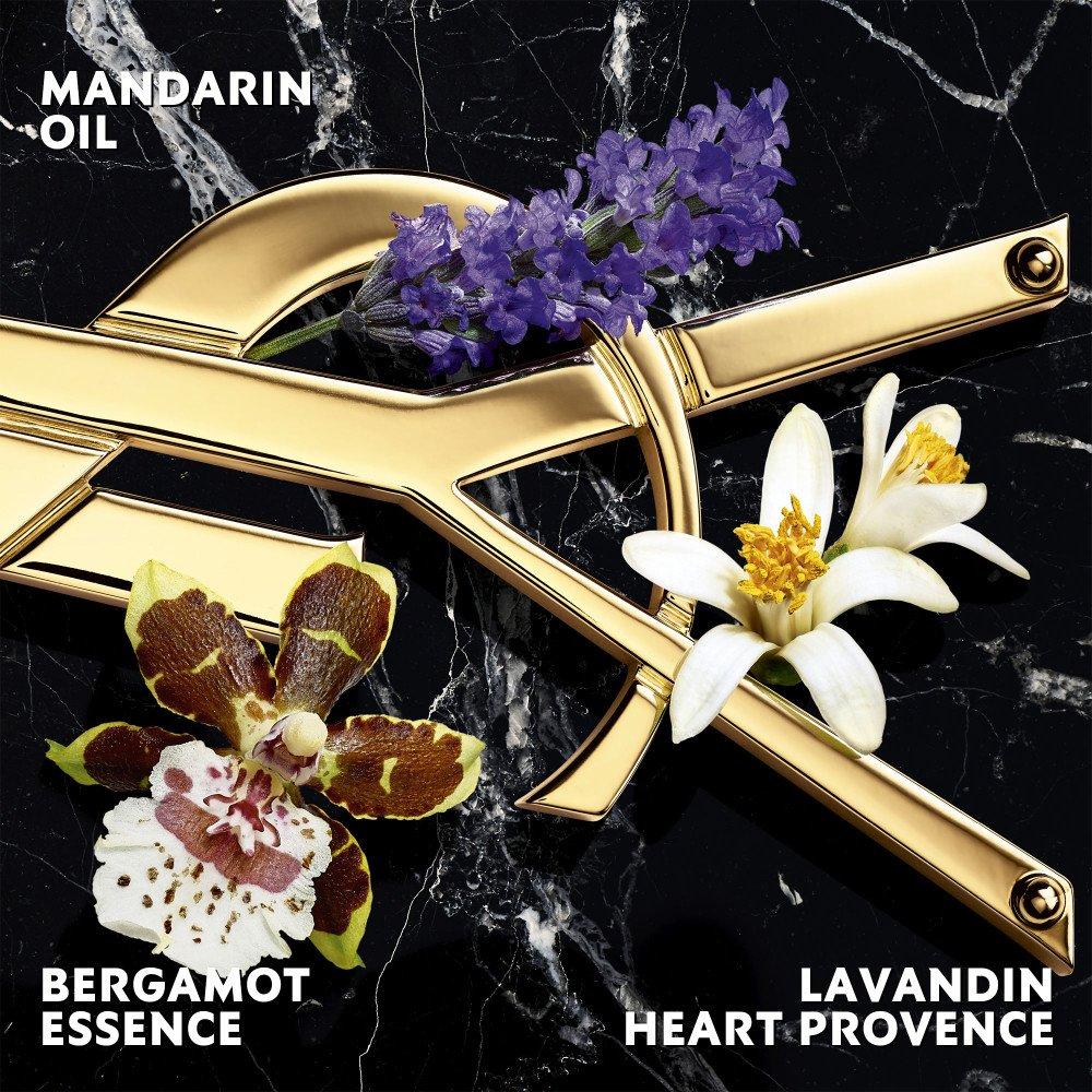 None - Yves Saint Laurent - YSL FRA X26LbrEDP In Ld71 - 3