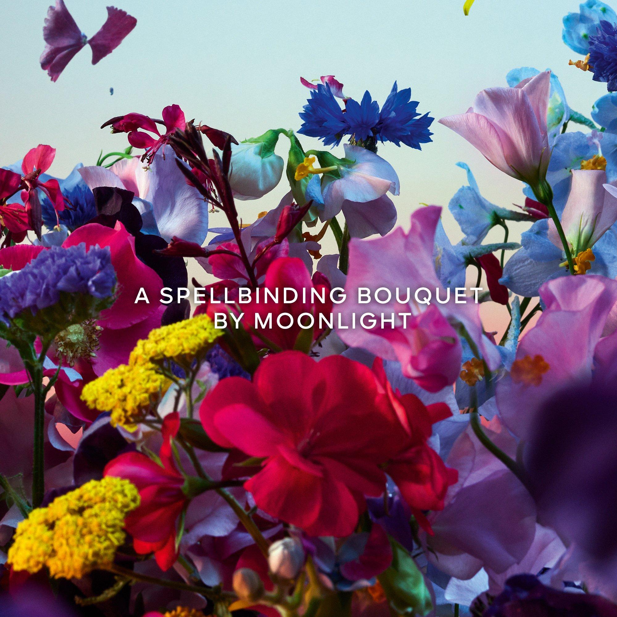 Clear - Guerlain - Absolus Allegoria Florabloom Eau de Parfum - 4