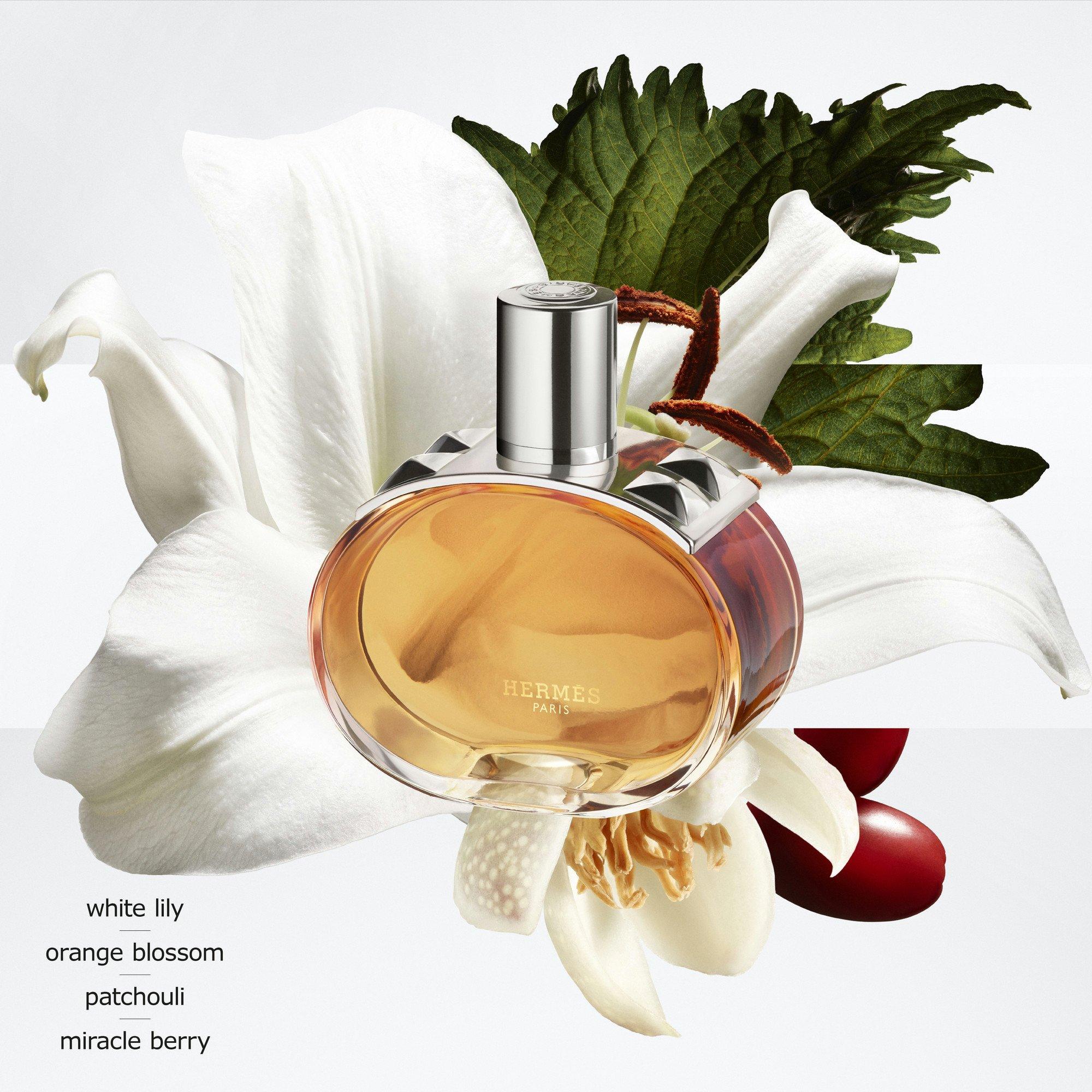 Clear - Hermes - Hermes BareniaPleine Ld00 - 6