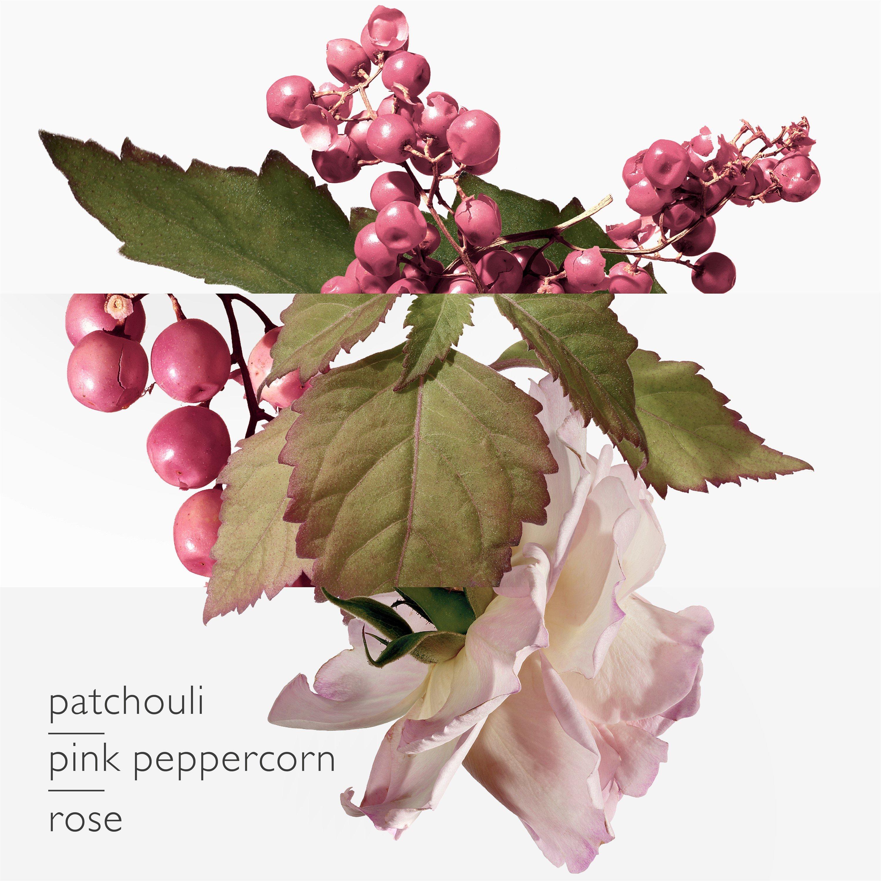 Clear - Hermes - Twilly d'Hermès Eau Poivrée, Eau de Parfum, - 3