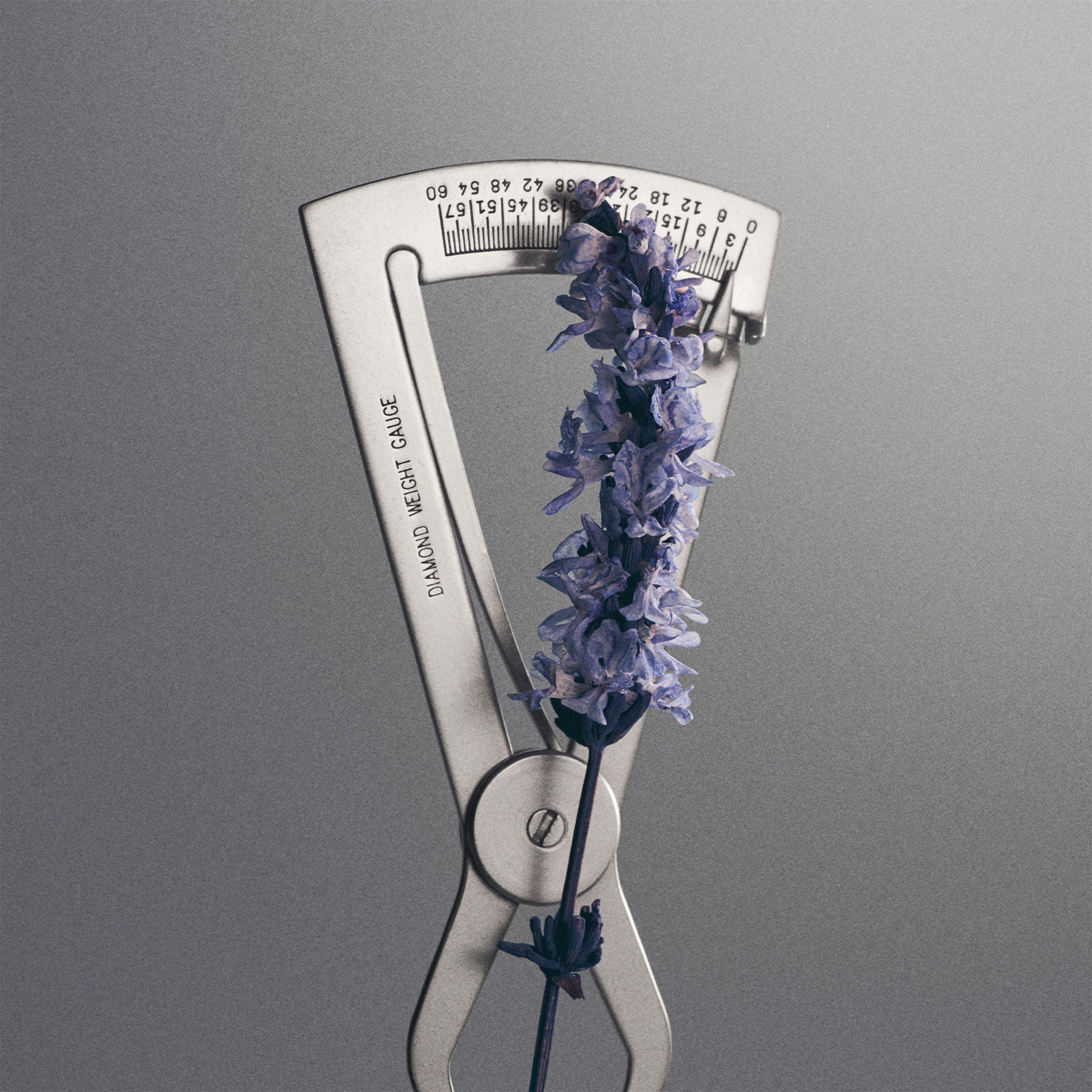 Clear - Creed - CE Iris Debonair 00 - 5