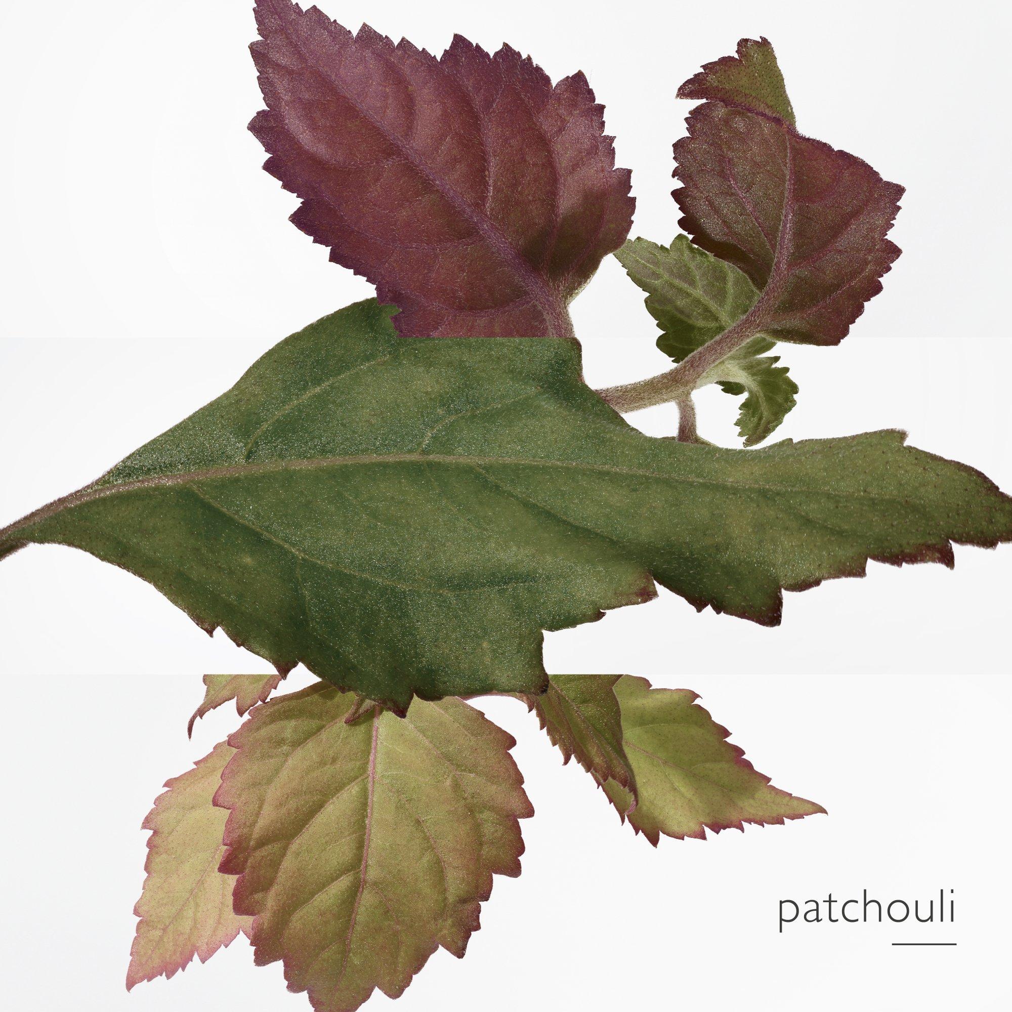 Clear - Hermes - Eau des Merveilles Bleue, Eau de Toilette - 5