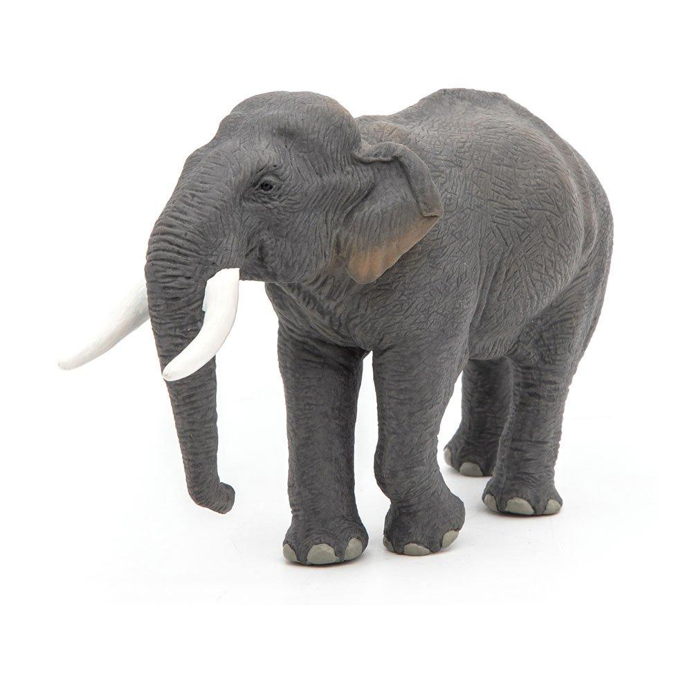 Multi - PAPO - Wild Animal Kingdom Asian - 1