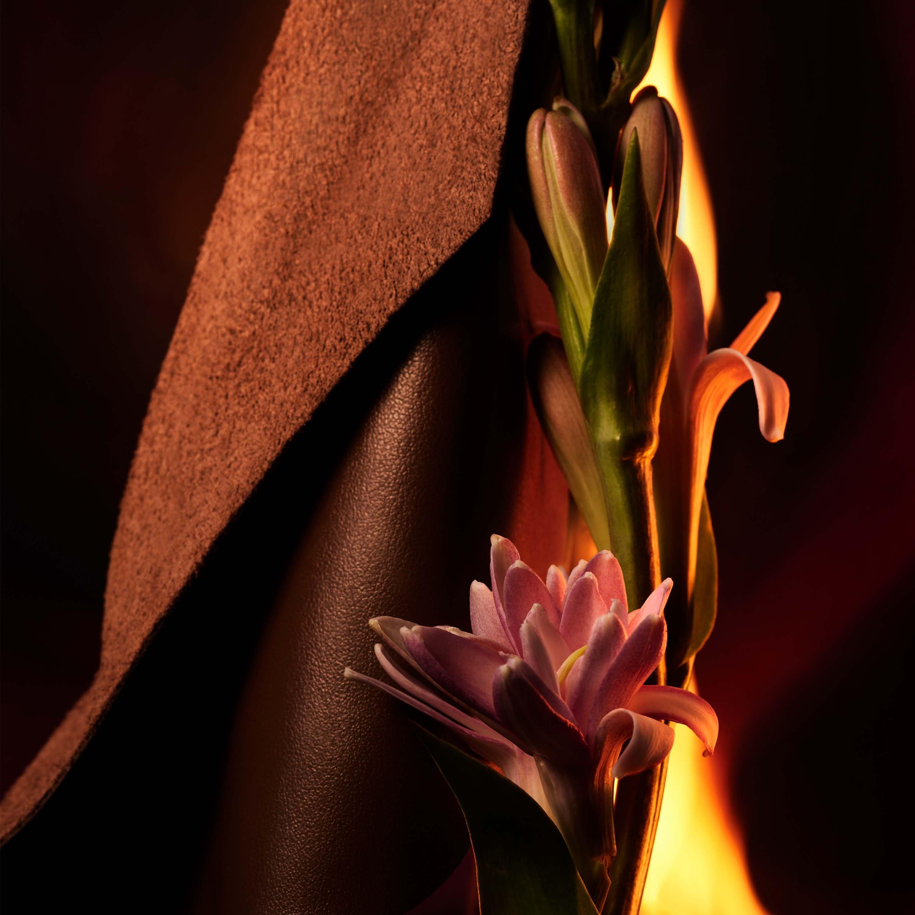 EDP - Bvlgari - Man In Black Eau de Parfum - 4