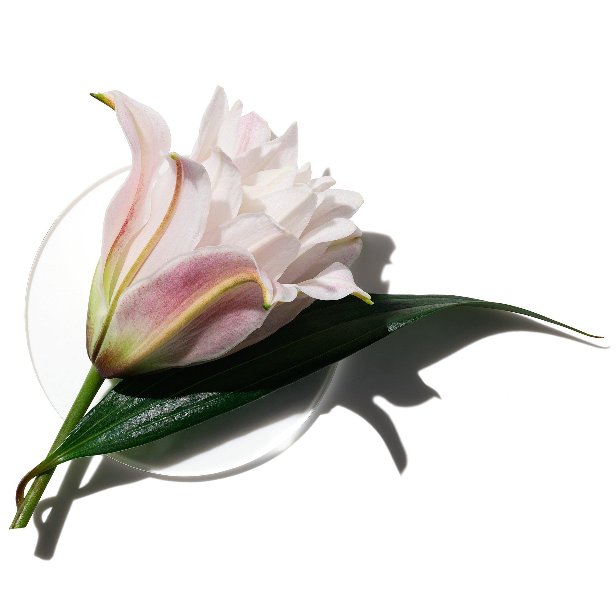 Mist - Clinique - My Happy Happy Splash 15ml - 2