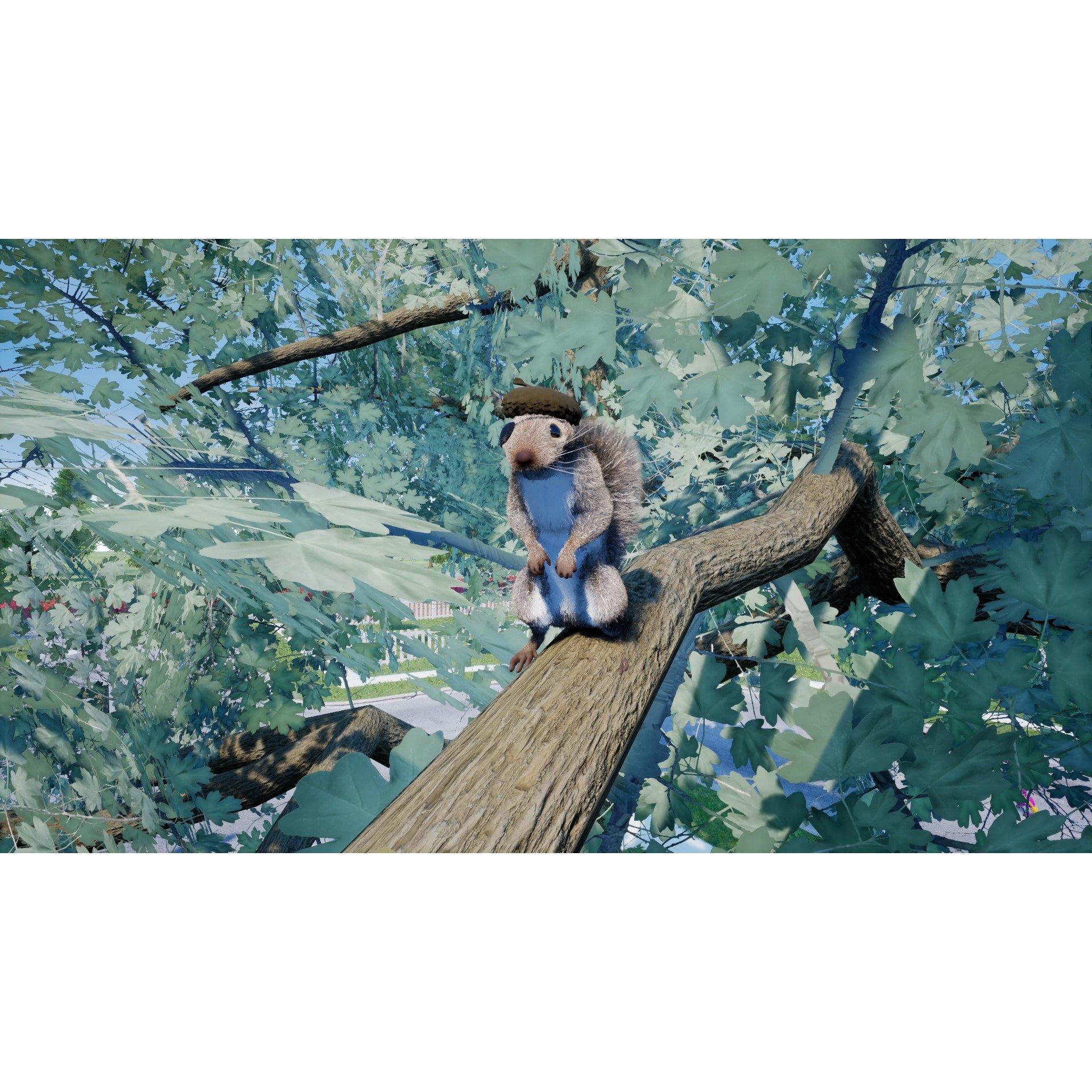 NS2 - Maximum Games - Squirrel With A Gun - 15