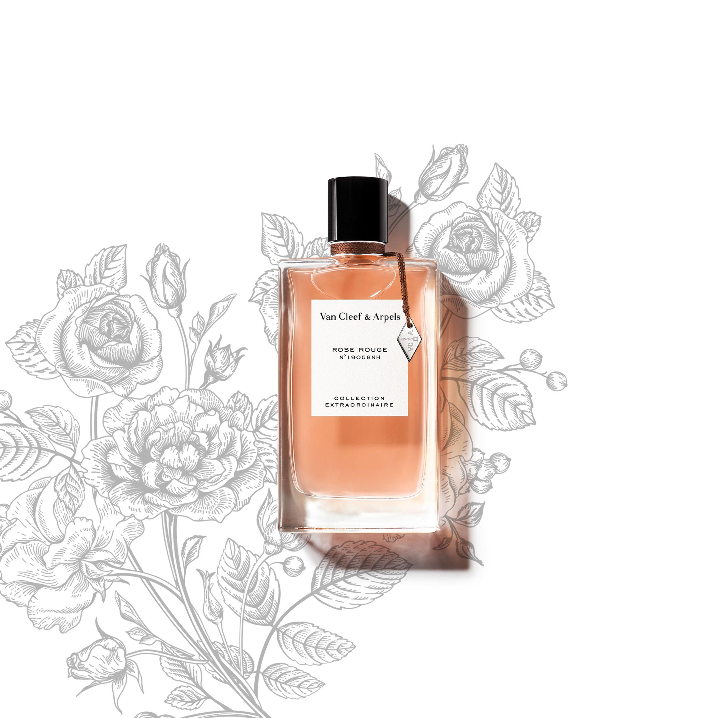Van Cleef and Arpels Rose Rouge Eau de Parfum 75ml | FRASERS