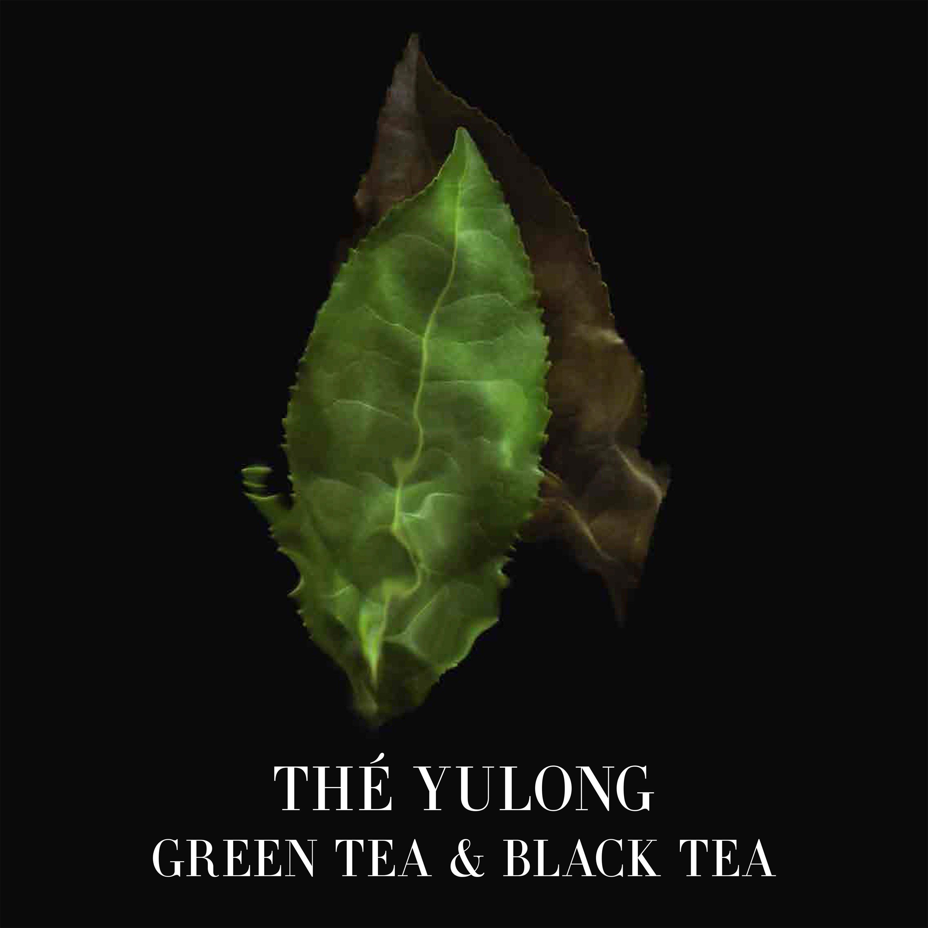 Thé Yulong - Armani Beauty - ARMANI/PRIVE THE YULONG EAU DE TOILETTE - 4