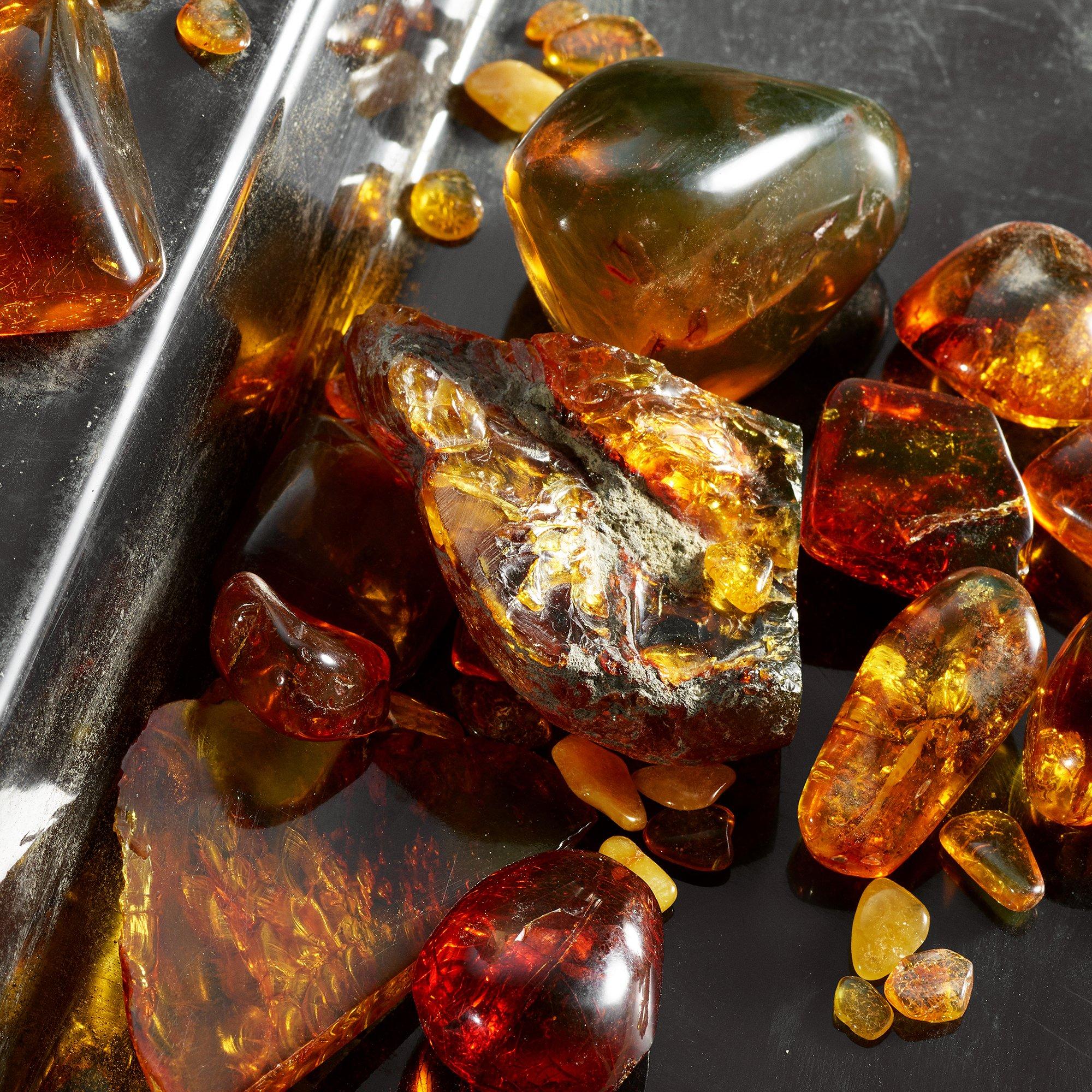 Clear - Dolce and Gabbana - Q Eau de Parfum Intense - 4