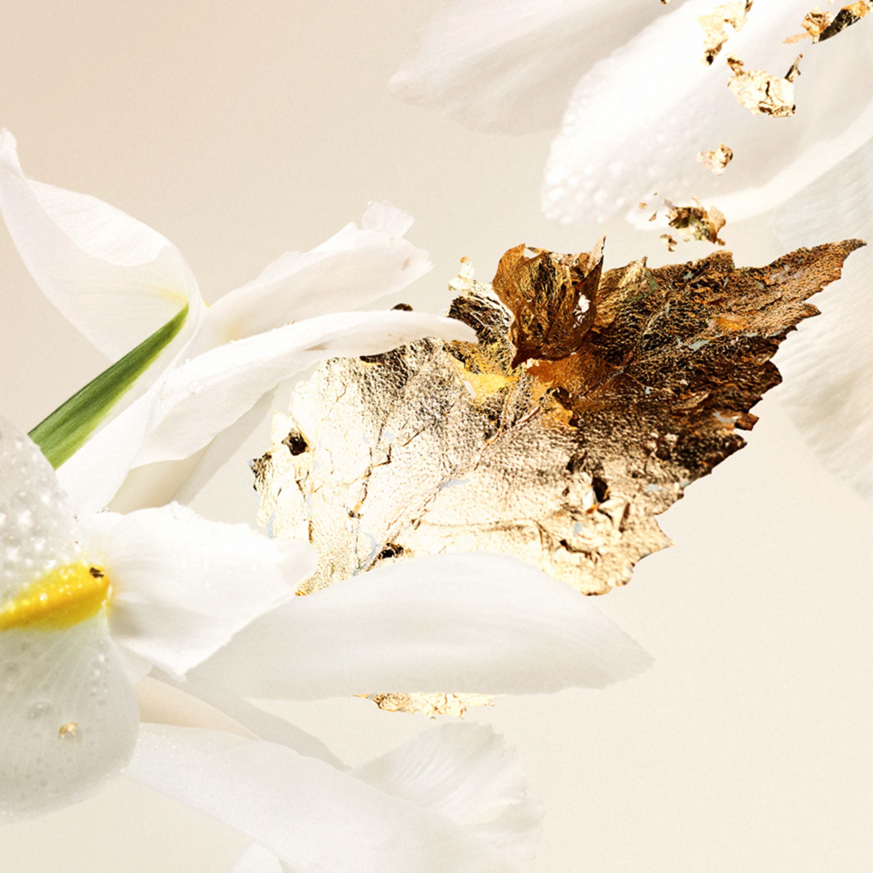 EDP - Bvlgari - Splendida Patchouli Tentation Eau de Parfum - 5