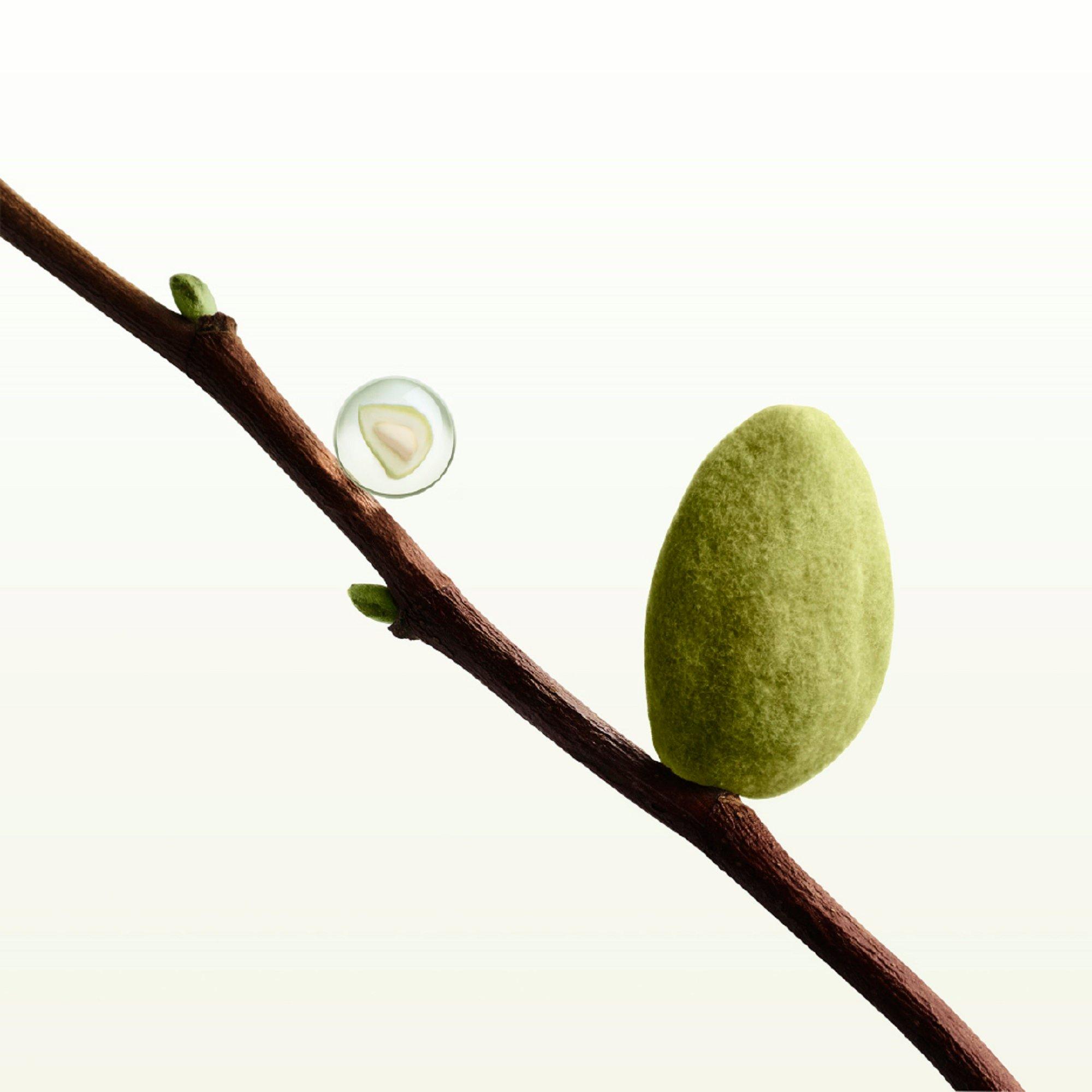 Mist - Issey Miyake - A Drop d’Issey Body Lotion - 5