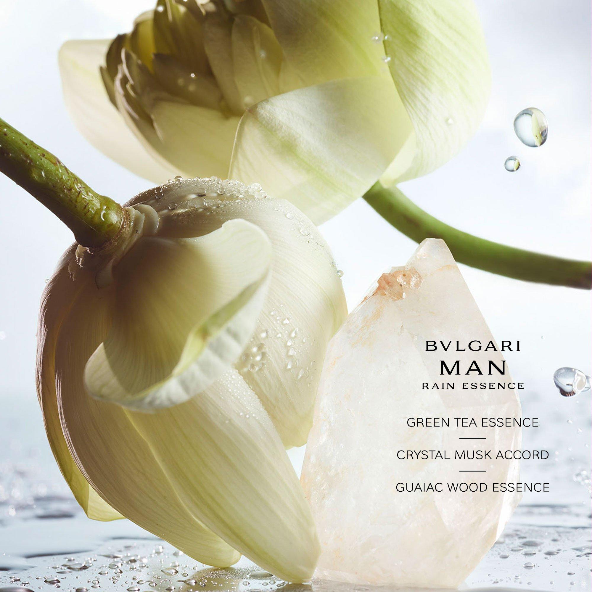 Clear - Bvlgari - Man Rain Essence Eau de Parfum - 3