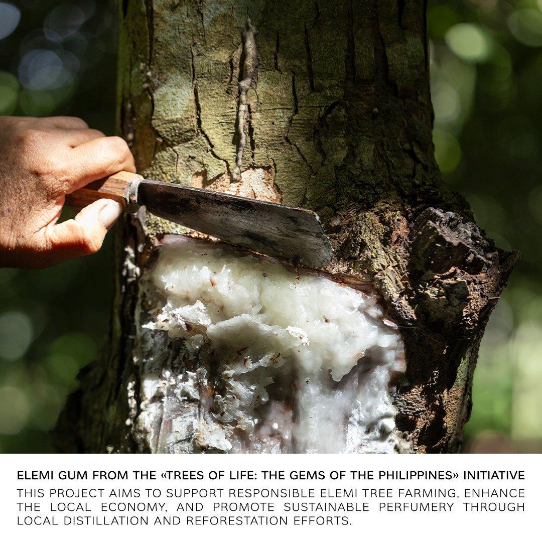 Clear - Bvlgari - Man In Black Parfum - 4