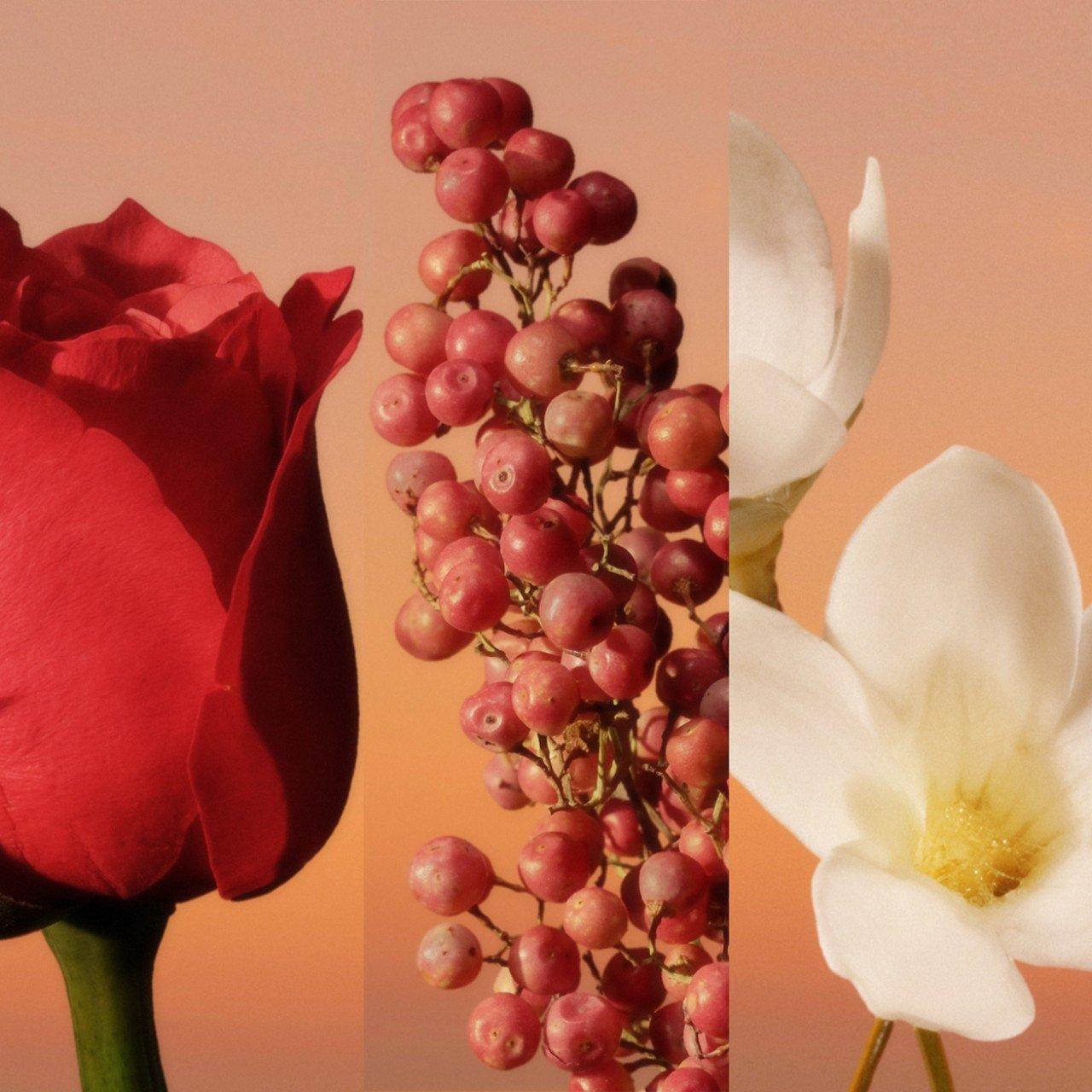 Clear - Calvin Klein - Calvin Klein Eternity Eau de Parfum Intense For Women - 4