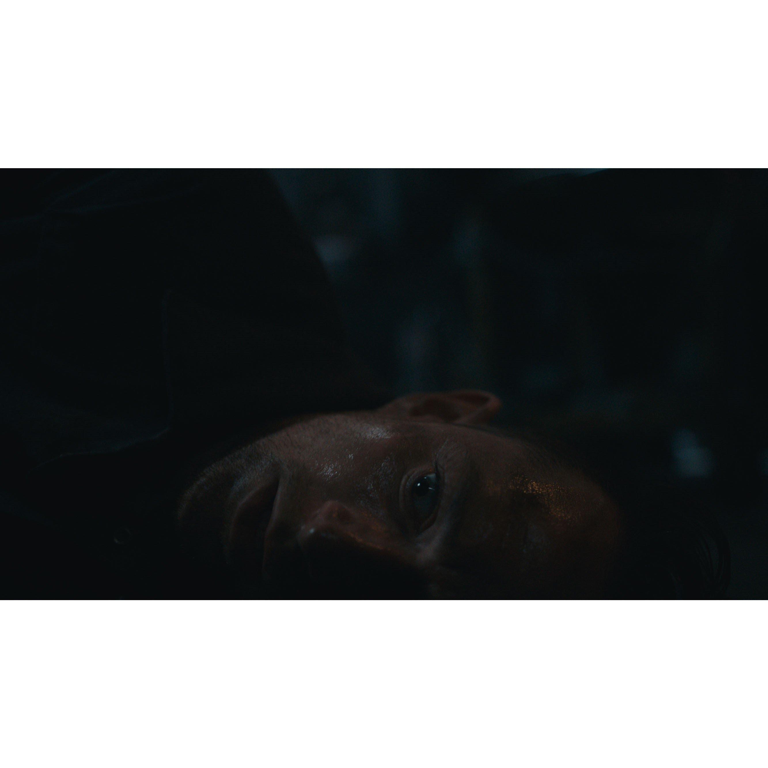 PS5 - Centresoft - Dead Reset - 5