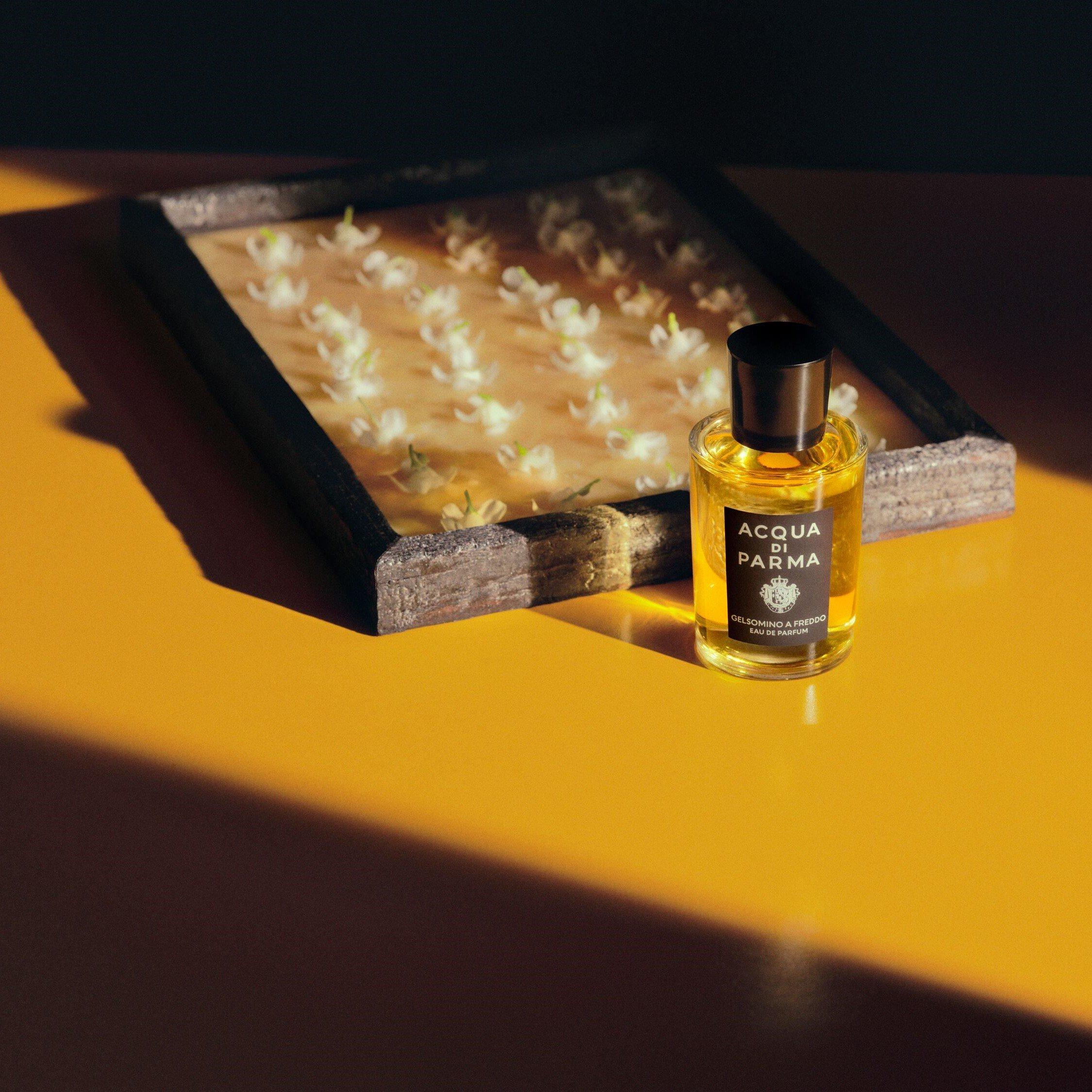 Clear - Acqua Di Parma - Gelsomino A Freddo Eau de Parfum - 3