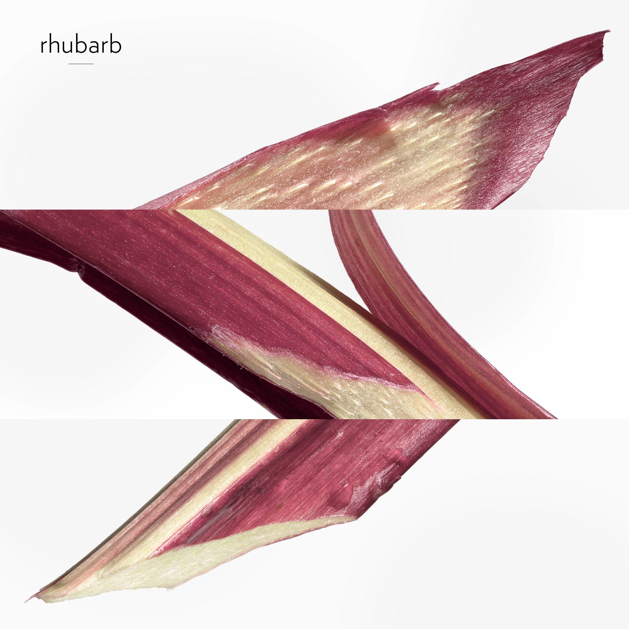 Clear - Hermes - Eau de rhubarbe écarlate, Eau de Cologne - 4