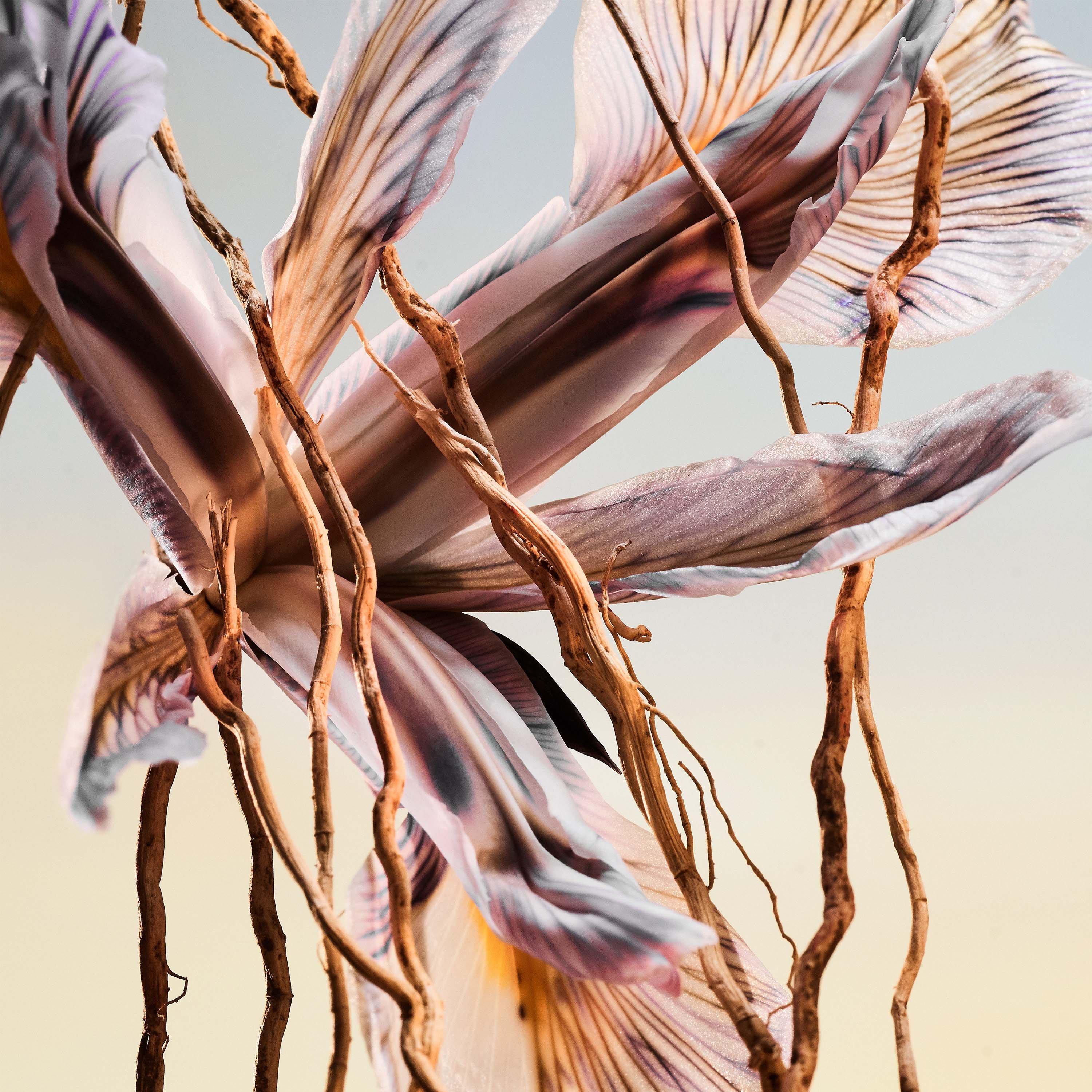 Clear - Bvlgari - Man Terrae Essence Eau de Parfum - 4