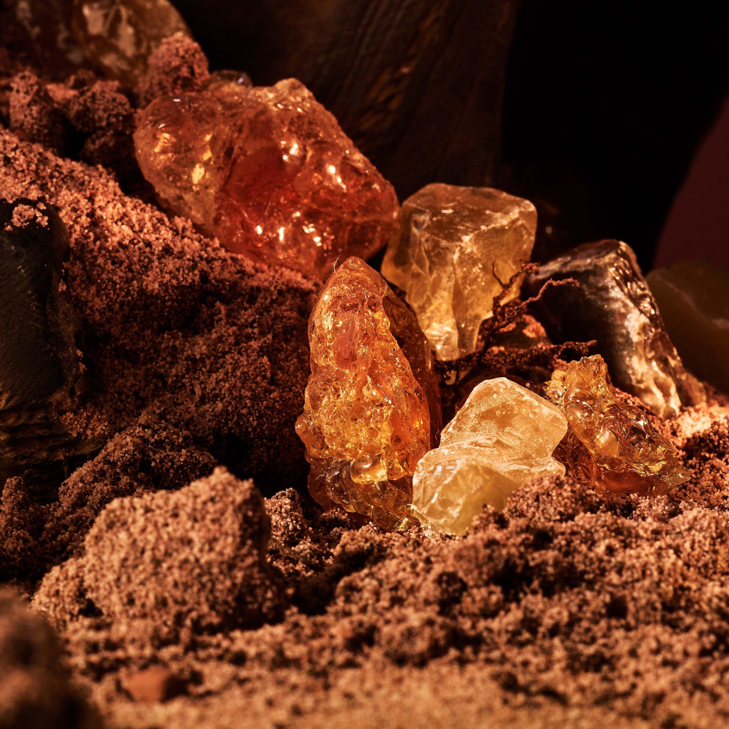 Clear - Bvlgari - Man Terrae Essence Eau de Parfum - 5