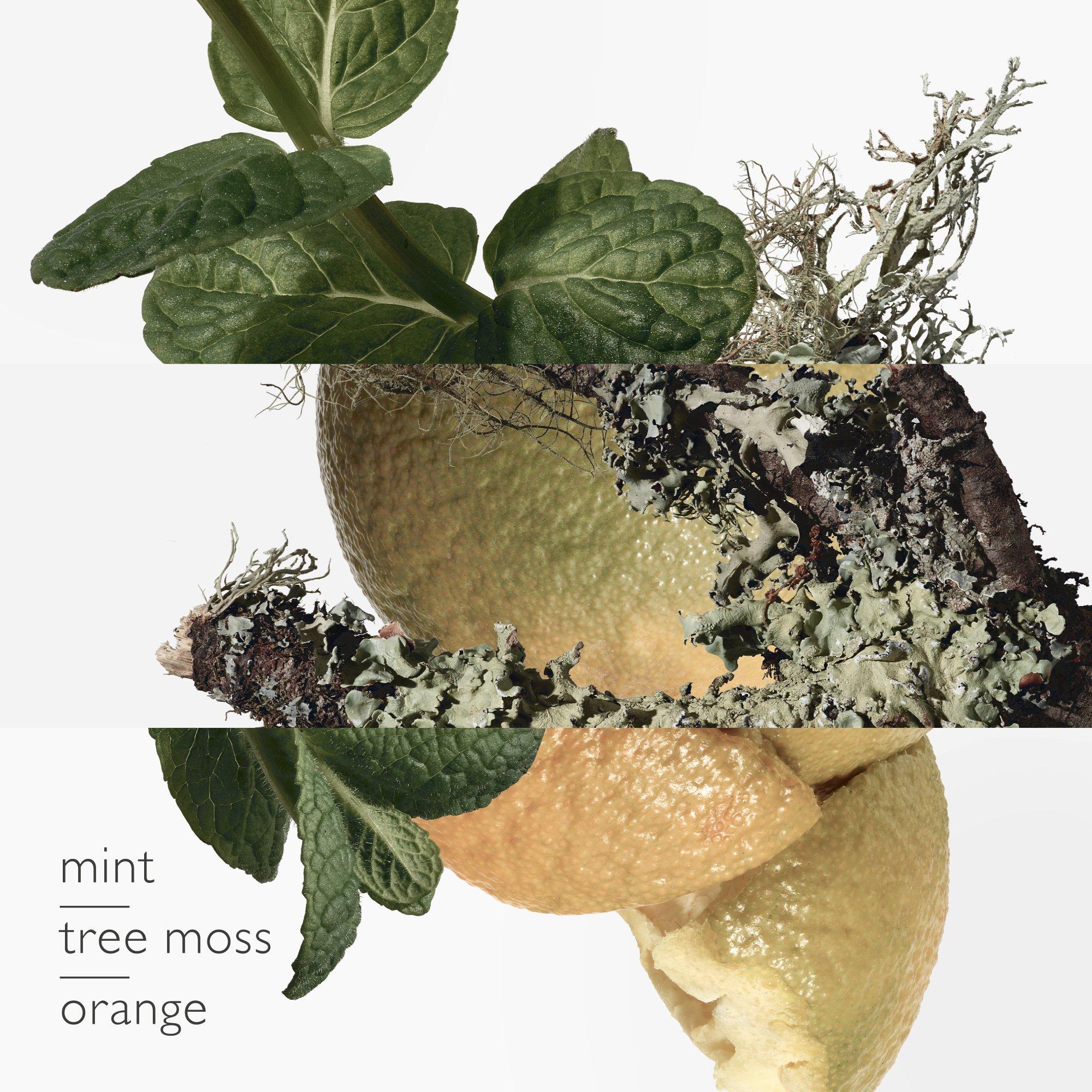 Orange Verte - Hermes - Eau dOrange Verte Eau De Cologne - 2