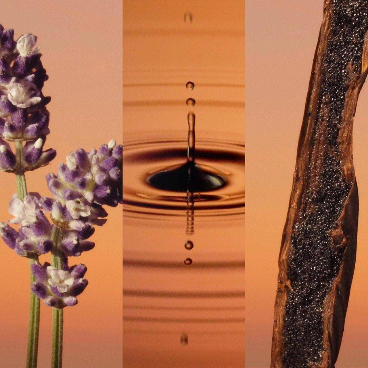 Clear - Calvin Klein - Calvin Klein Eternity Parfum for Men - 4