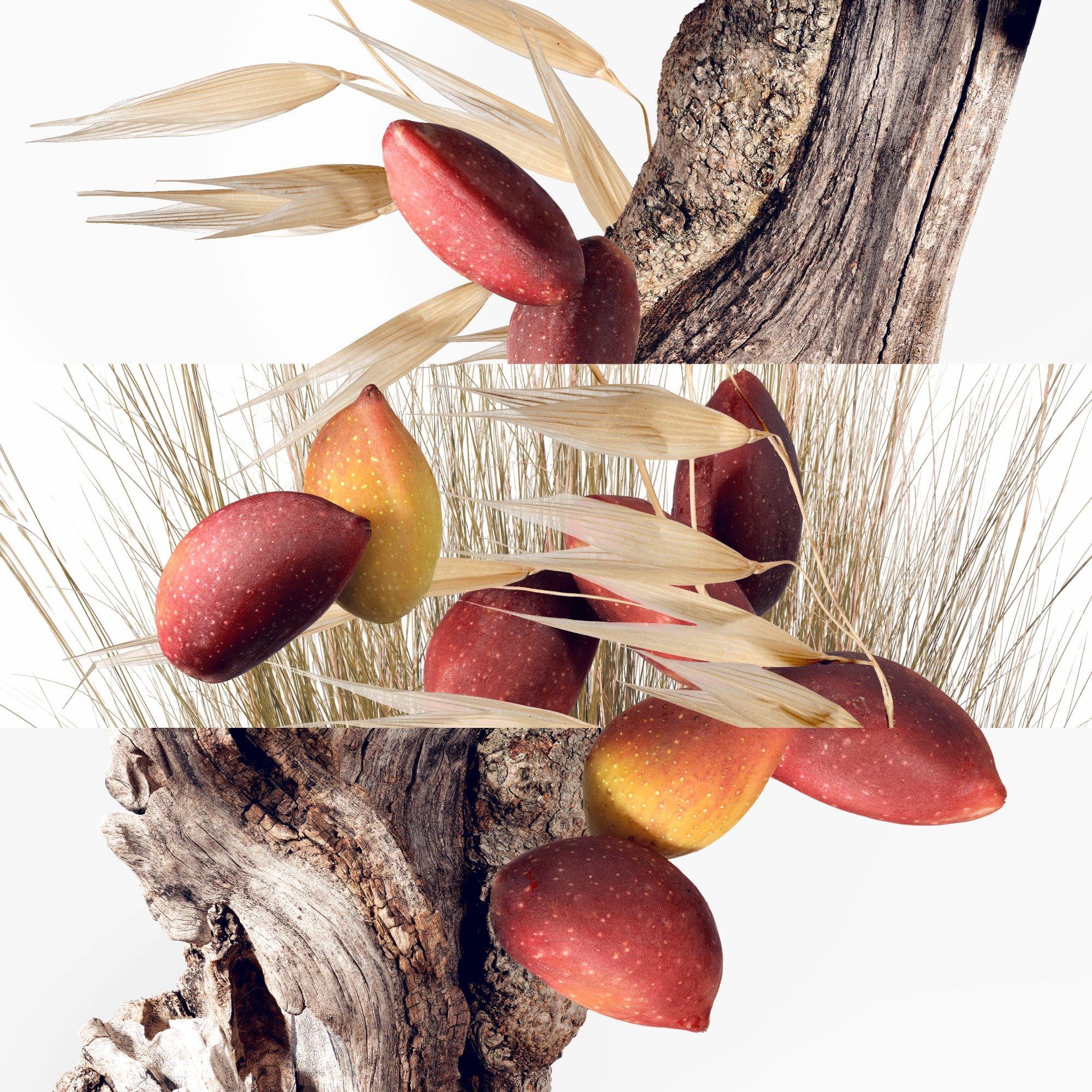 Clear - Hermes - Un Jardin a Cythere, Eau de Toilette refill - 4