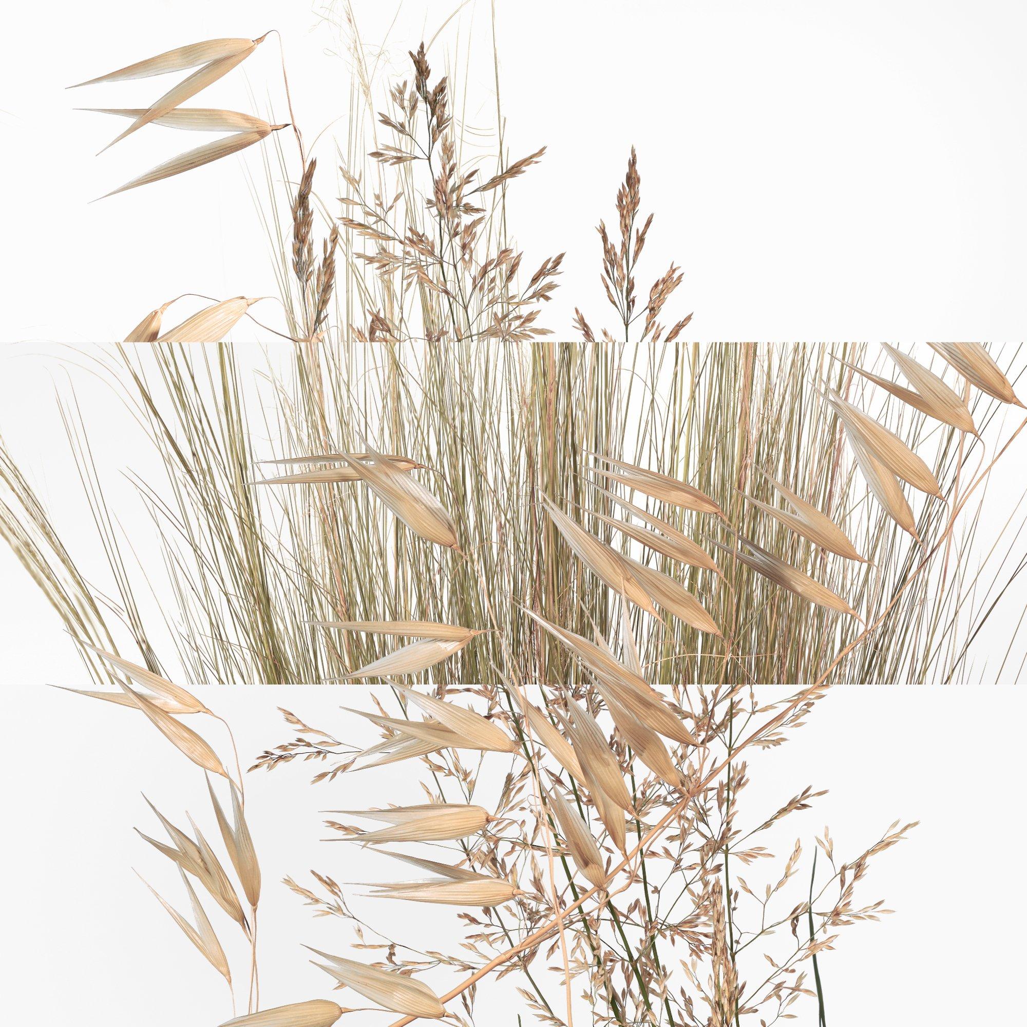 Clear - Hermes - Un Jardin a Cythere, Eau de Toilette refill - 6