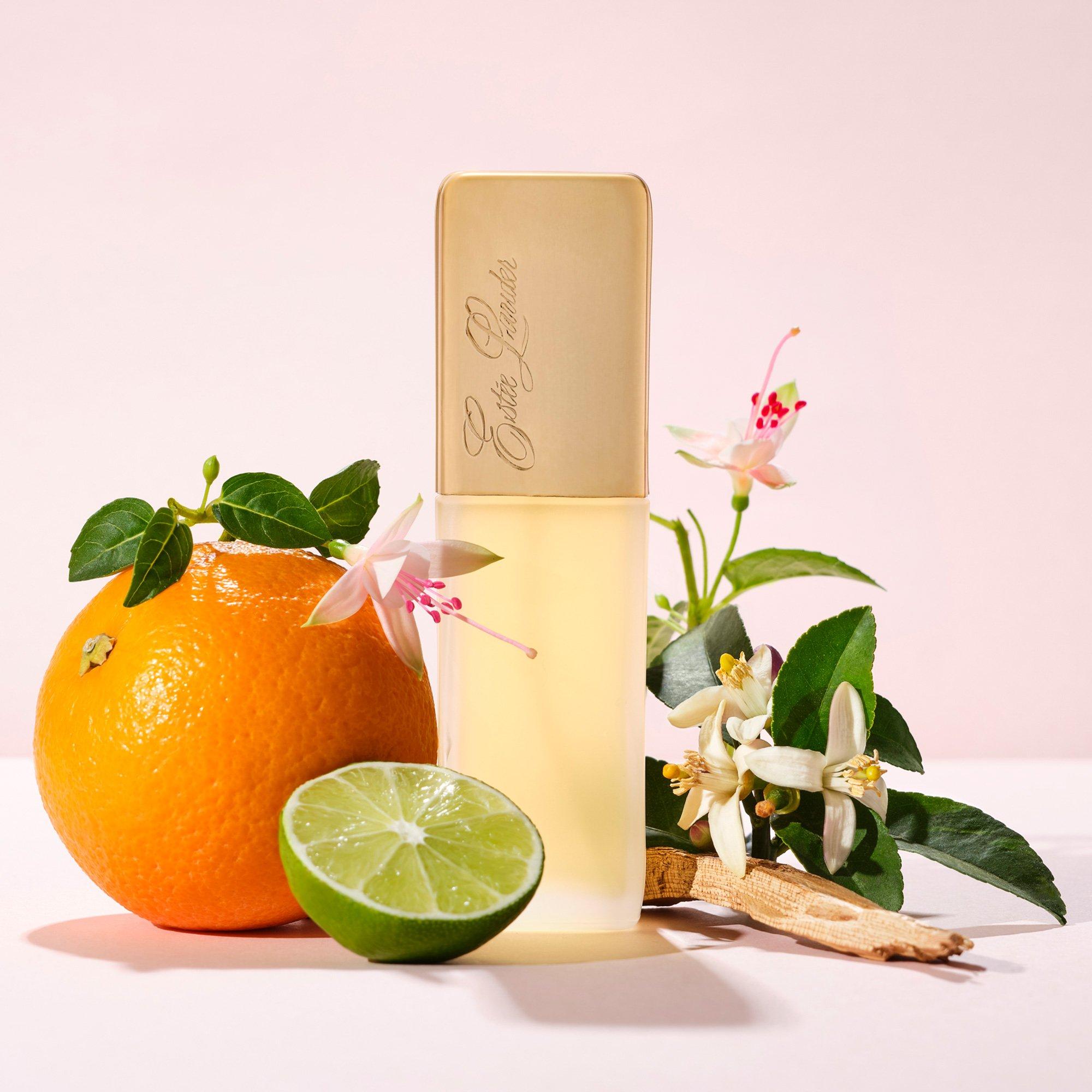 Mist - Estee Lauder - Private Collection Eau de Parfum Spray 50ml - 2