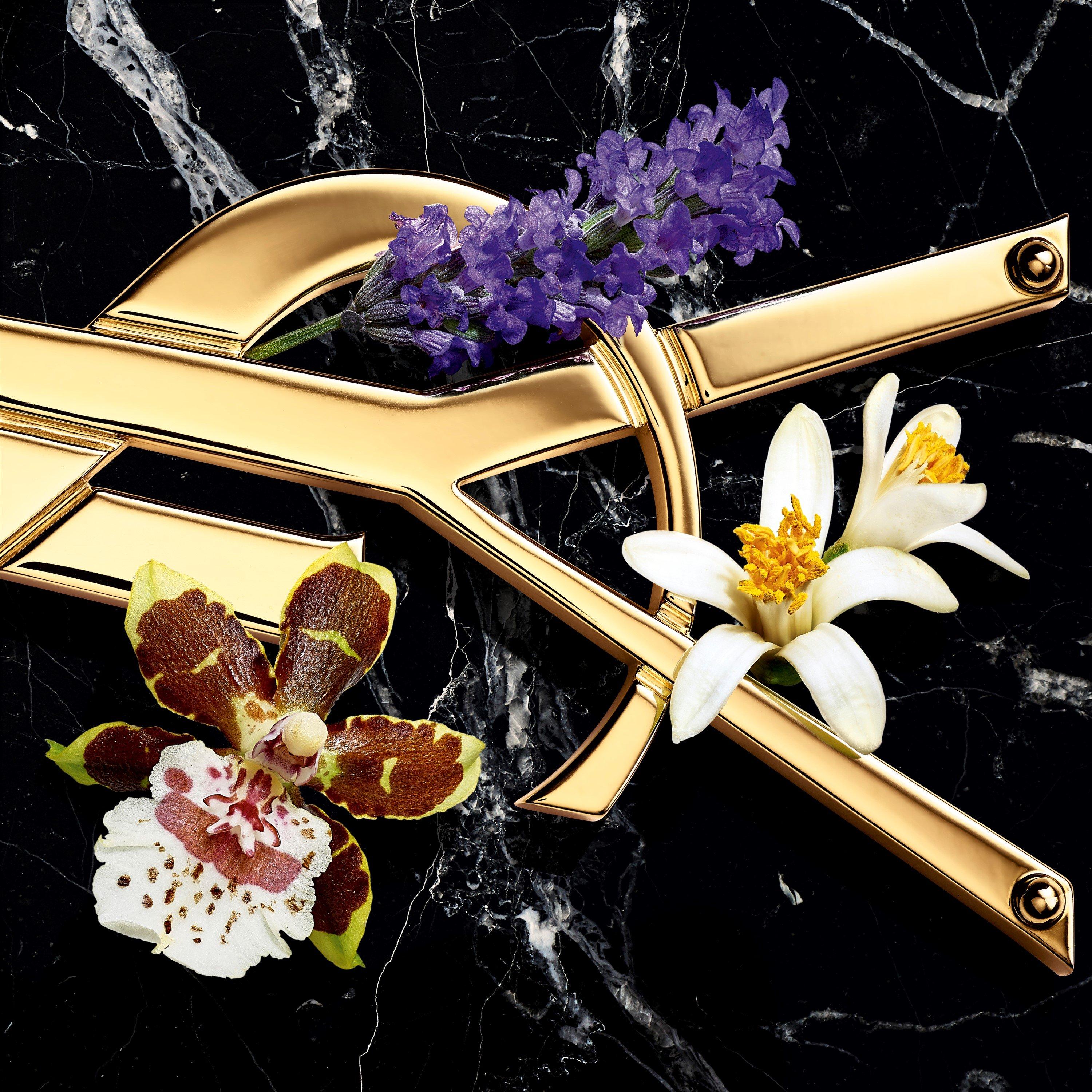 Mist - Yves Saint Laurent - Libre Eau De Parfum Intense - 3