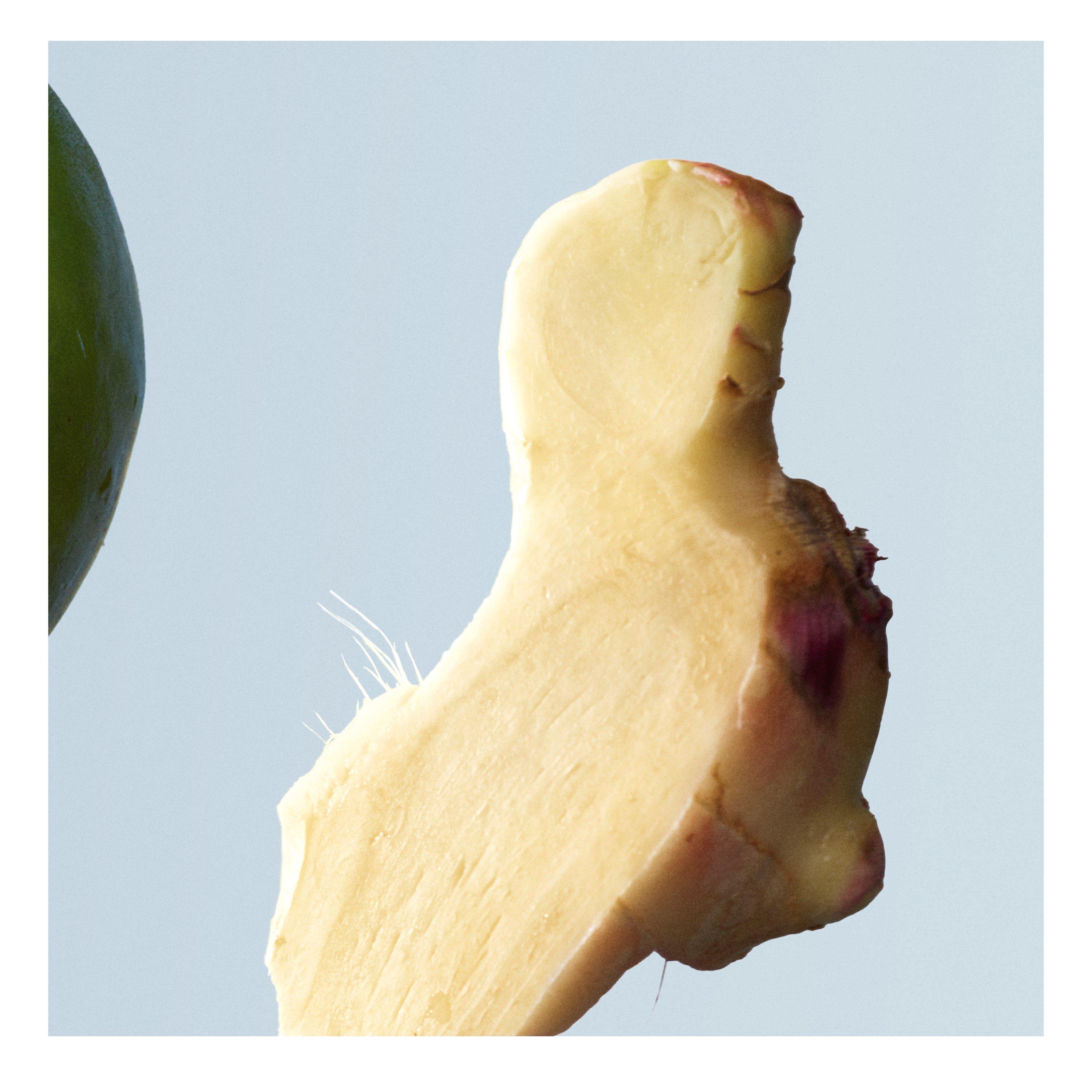 Mist - Boss - Bottled Tonic Eau de Toilette, Fresh Citrus Woody - 5