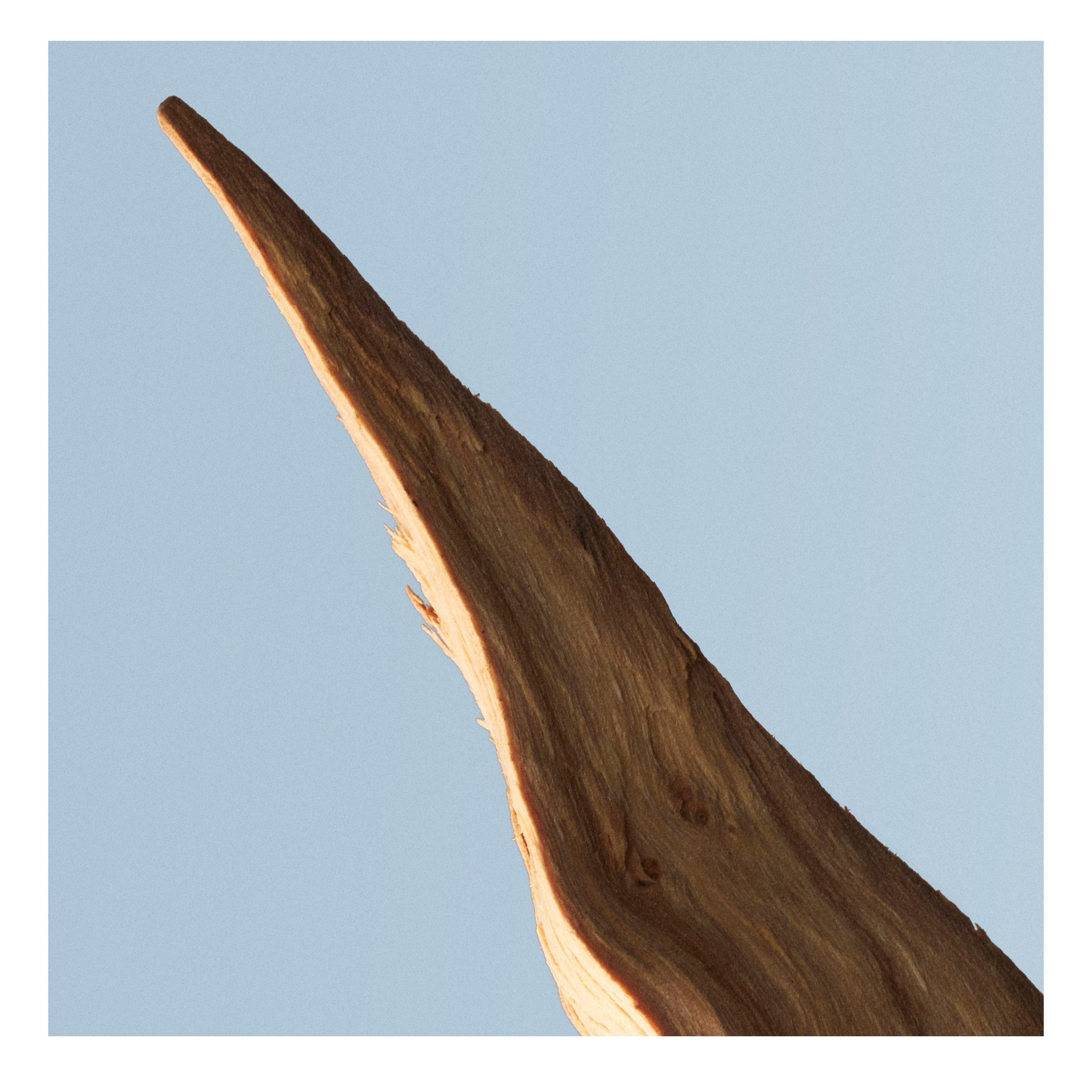 Mist - Boss - Bottled Tonic Eau de Toilette, Fresh Citrus Woody - 6