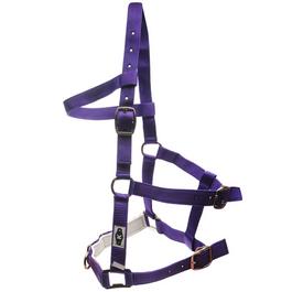 Kincade Nylon Padded Lunge Cavesson