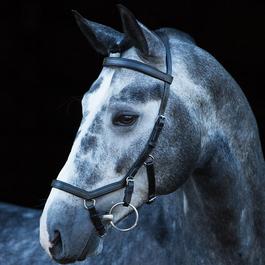 Rambo Micklem Multi Bridle