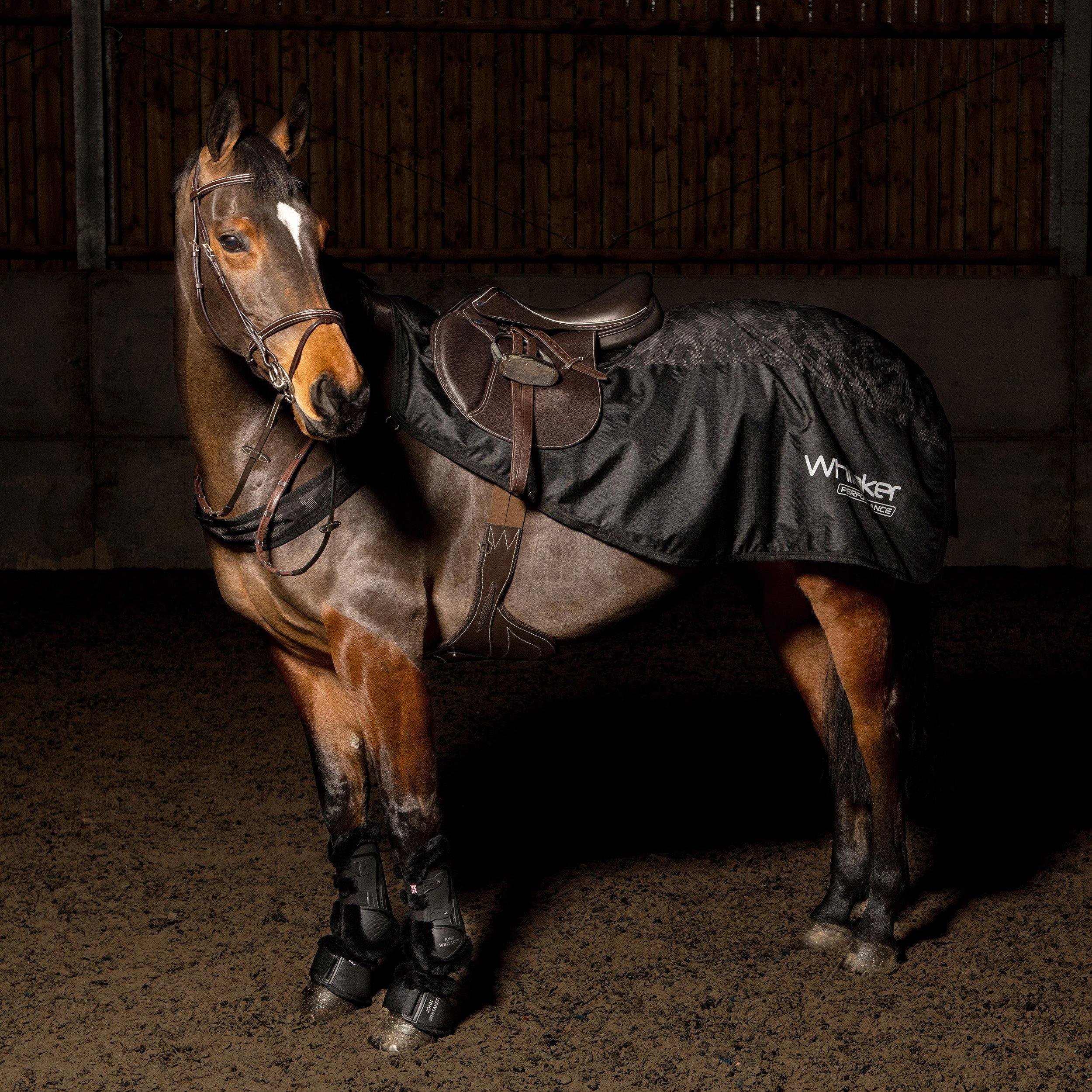 Camo Noir - John Whitaker - JW Sydney ExSheet 99 - 1