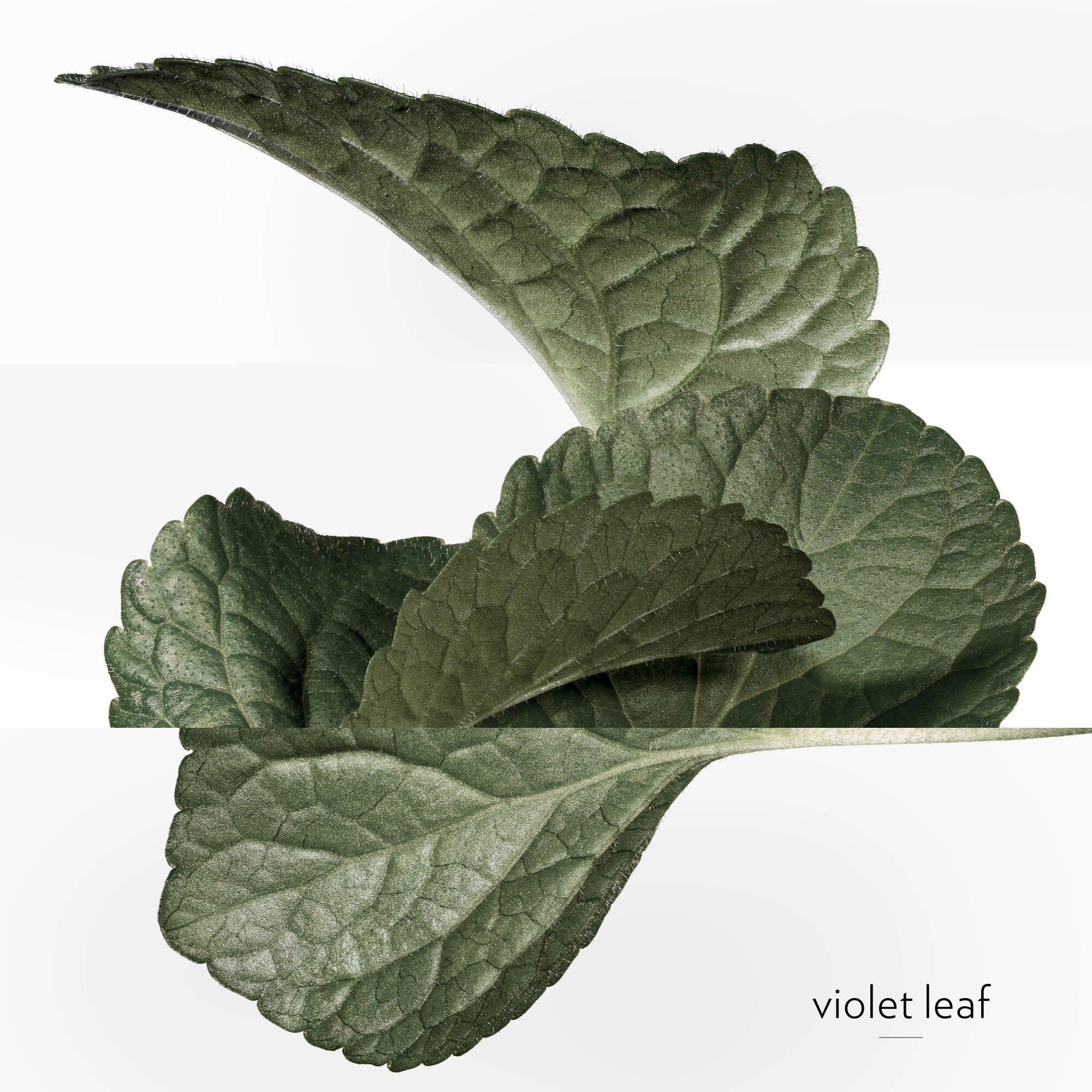 Clear - Hermes - Hermessence, Violette Volynka, Eau de Toilette - 7