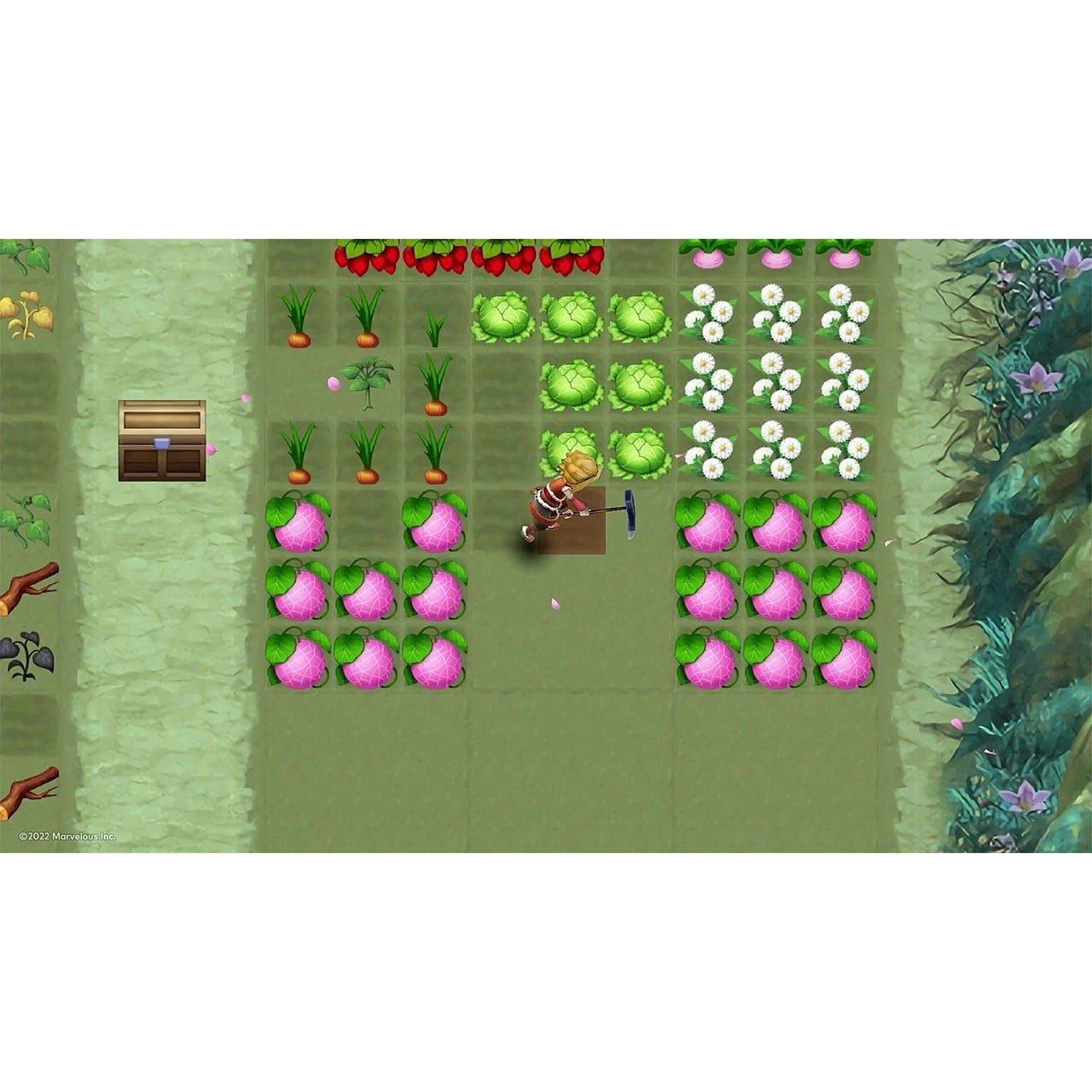 Nintendo Switch - Marvelous Games - Rune Factory 3 Special Limited Edition - 7