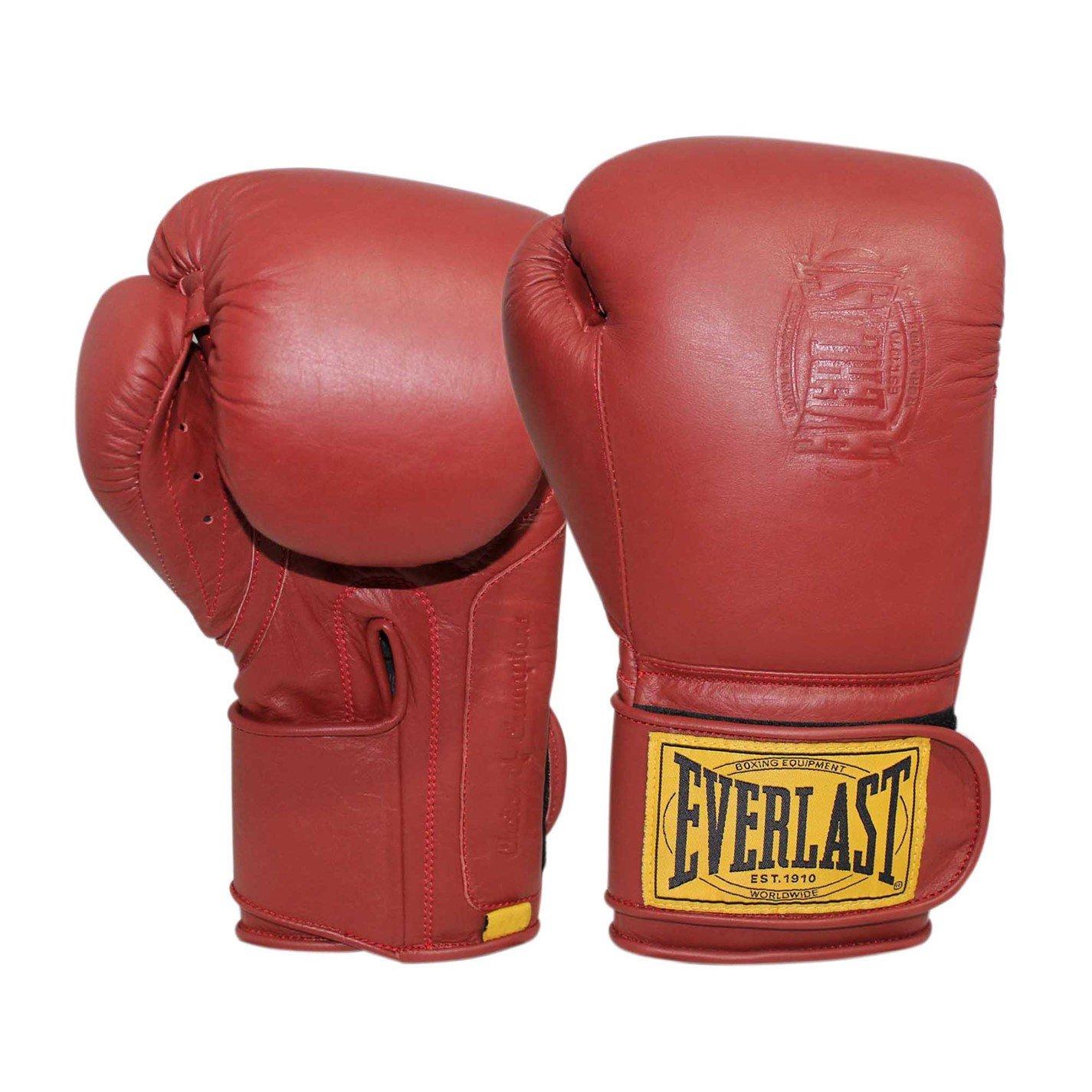 1910 Classic Sacco Boxe Everlast 1910 Everlast 1910 Pro Hook Loop